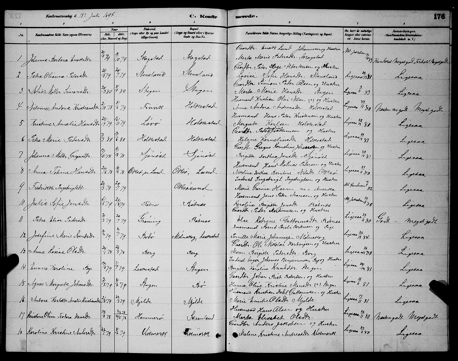 Ministerialprotokoller, klokkerbøker og fødselsregistre - Nordland, AV/SAT-A-1459/855/L0816: Klokkerbok nr. 855C05, 1879-1894, s. 176