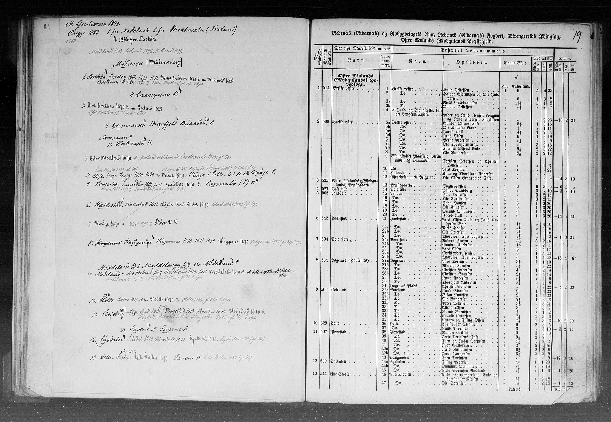 Rygh, AV/RA-PA-0034/F/Fb/L0008: Matrikkelen for 1838 - Nedenes amt (Aust-Agder fylke), 1838, s. 19a