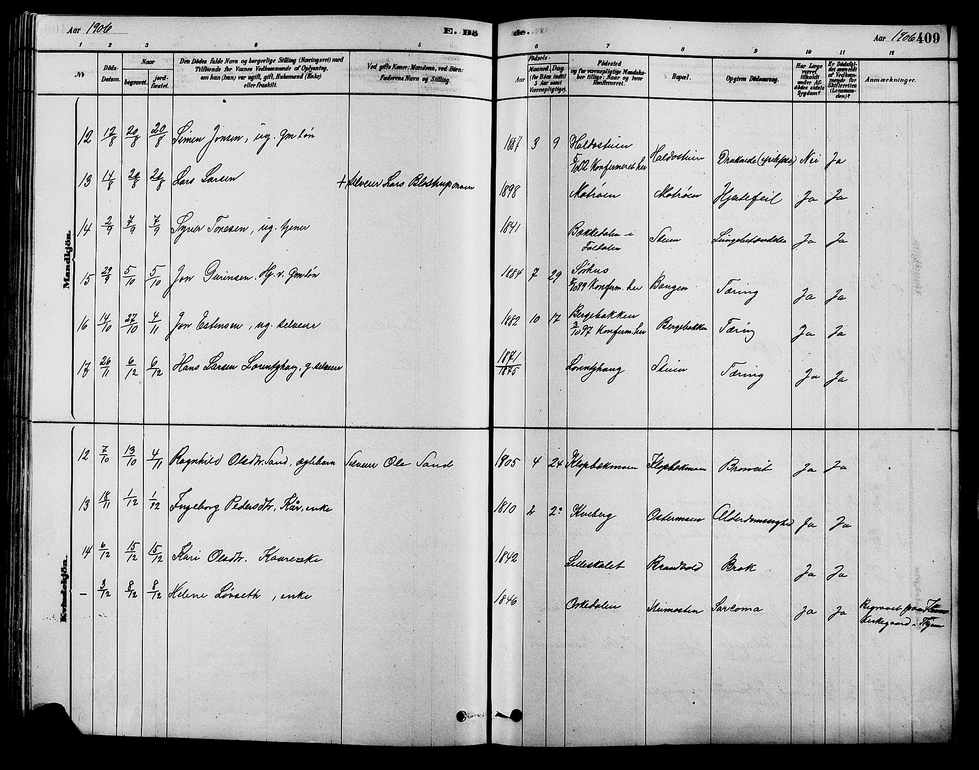 Alvdal prestekontor, SAH/PREST-060/H/Ha/Hab/L0003: Klokkerbok nr. 3, 1878-1907, s. 409