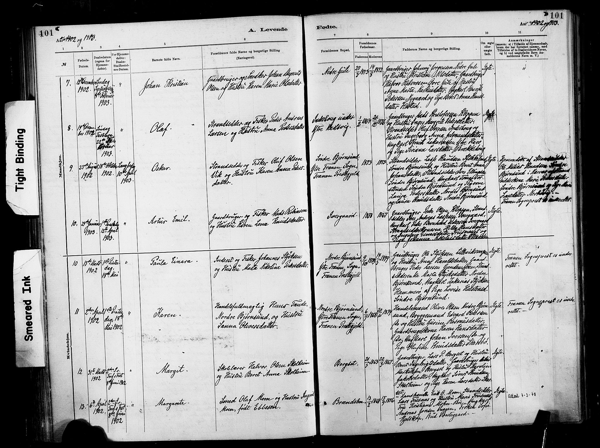 Ministerialprotokoller, klokkerbøker og fødselsregistre - Møre og Romsdal, AV/SAT-A-1454/566/L0769: Ministerialbok nr. 566A08, 1881-1903, s. 101