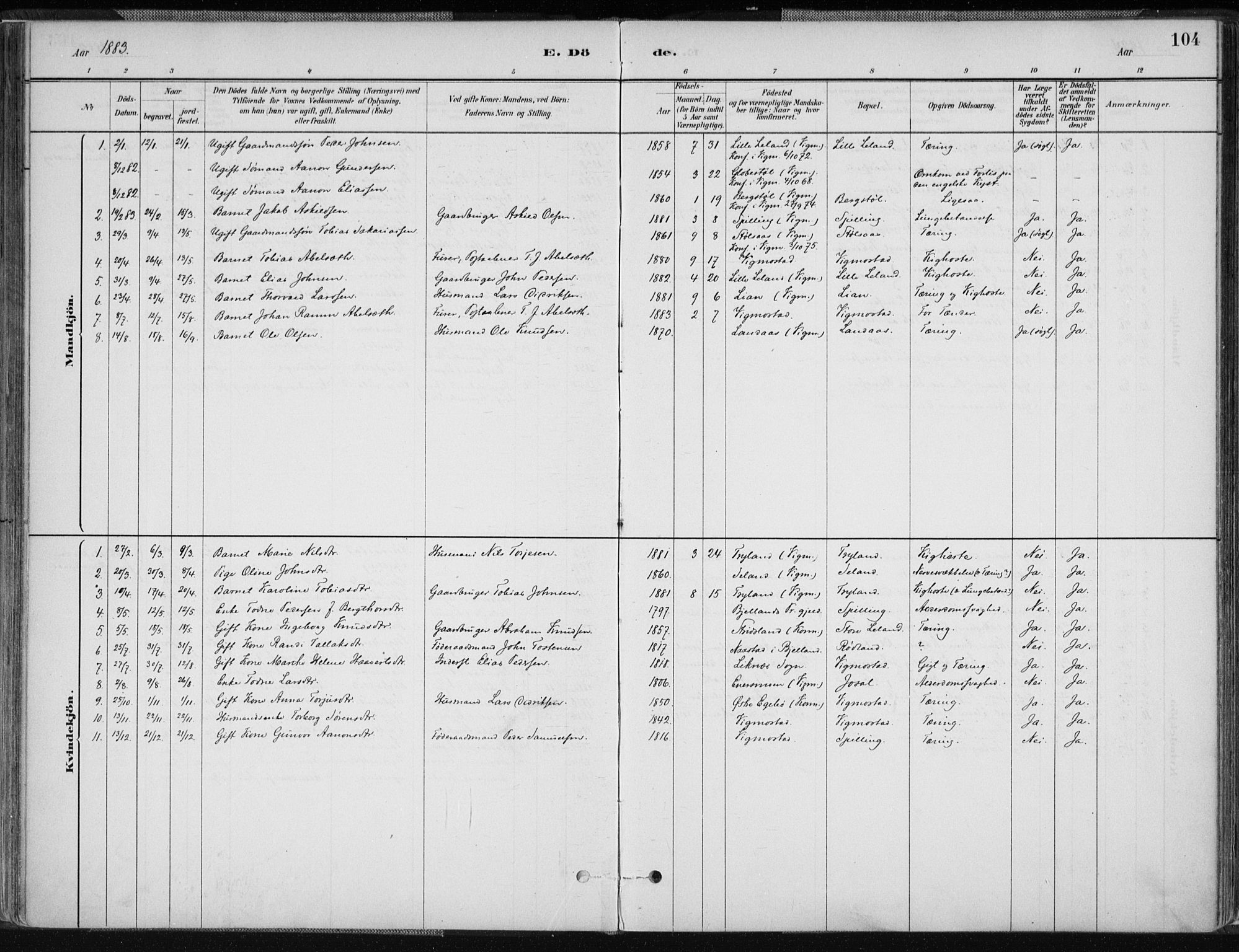 Nord-Audnedal sokneprestkontor, SAK/1111-0032/F/Fa/Fab/L0003: Ministerialbok nr. A 3, 1882-1900, s. 104