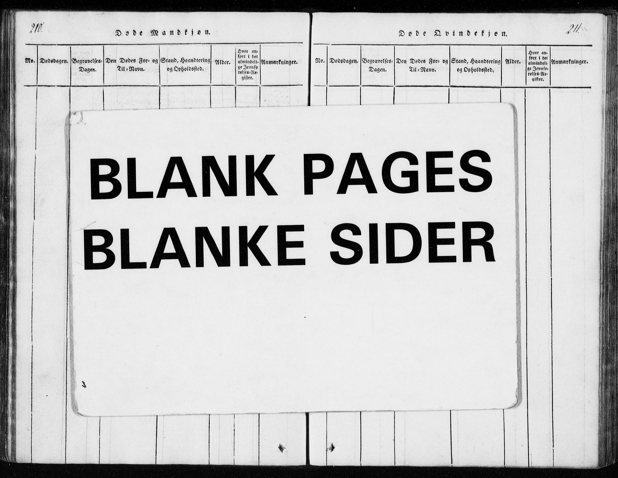 Ministerialprotokoller, klokkerbøker og fødselsregistre - Møre og Romsdal, AV/SAT-A-1454/551/L0623: Ministerialbok nr. 551A03, 1818-1831, s. 210-211