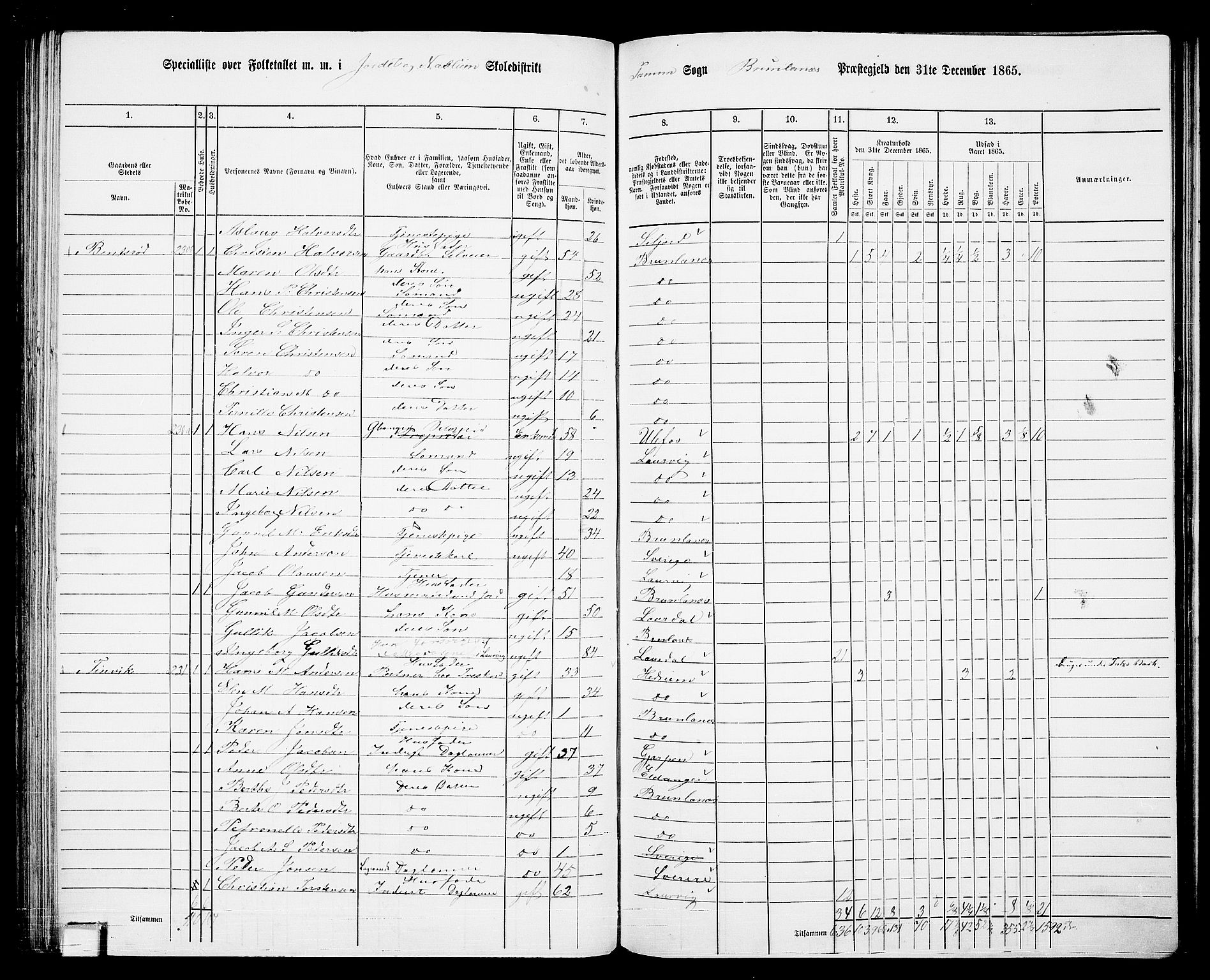 RA, Folketelling 1865 for 0726P Brunlanes prestegjeld, 1865, s. 90
