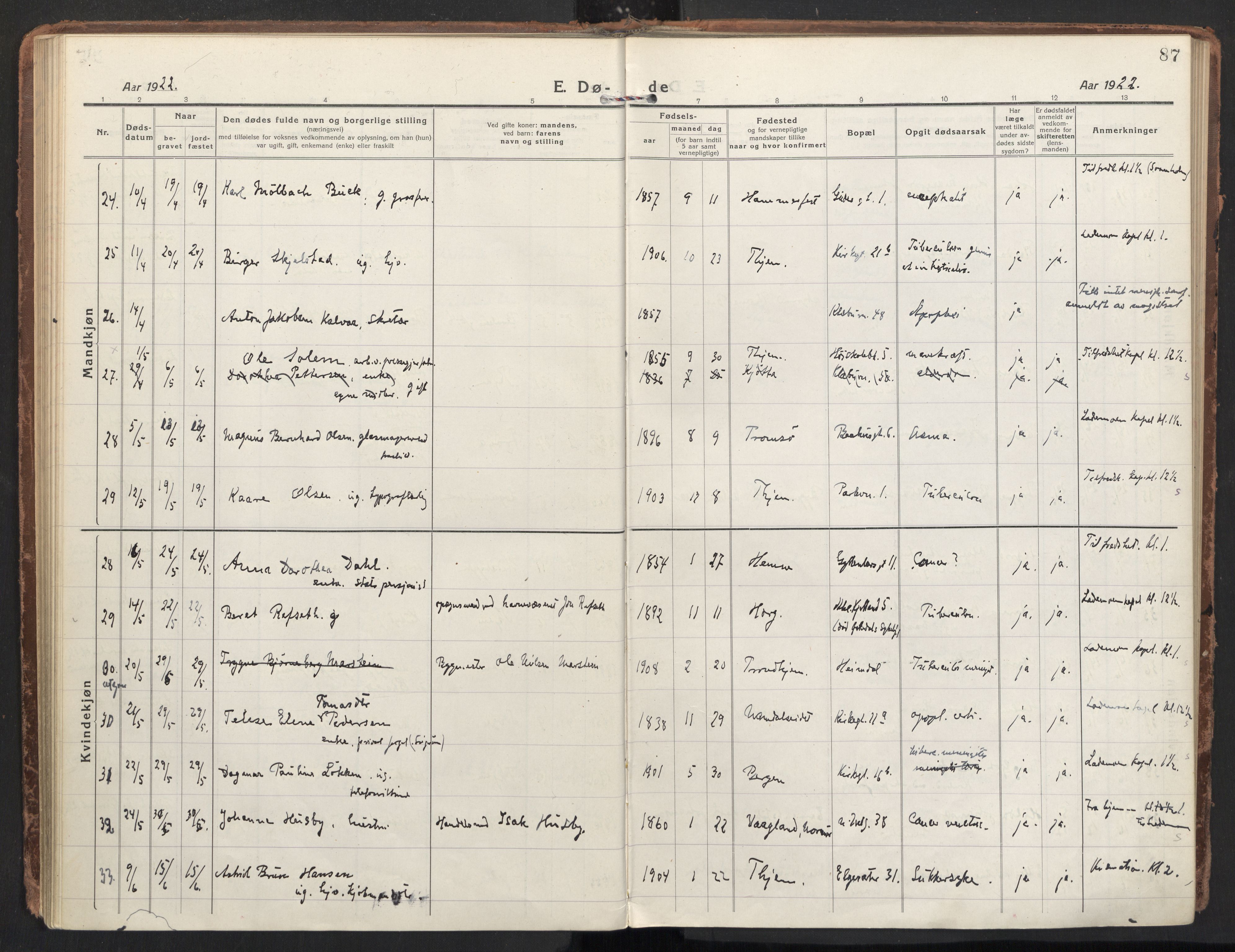 Ministerialprotokoller, klokkerbøker og fødselsregistre - Sør-Trøndelag, AV/SAT-A-1456/604/L0207: Ministerialbok nr. 604A27, 1917-1933, s. 87