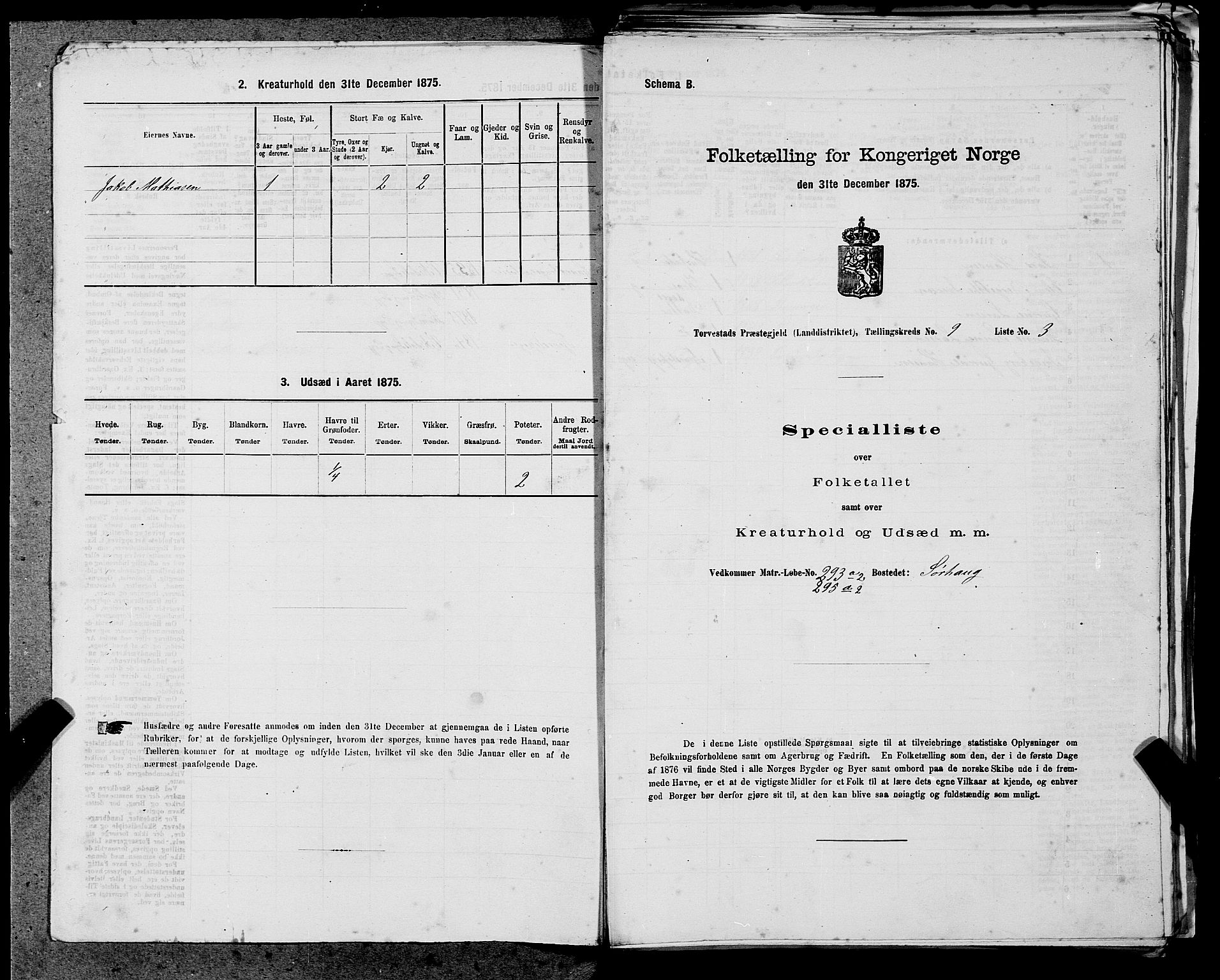 SAST, Folketelling 1875 for 1152L Torvastad prestegjeld, Torvastad sokn, Skåre sokn og Utsira sokn, 1875, s. 1119