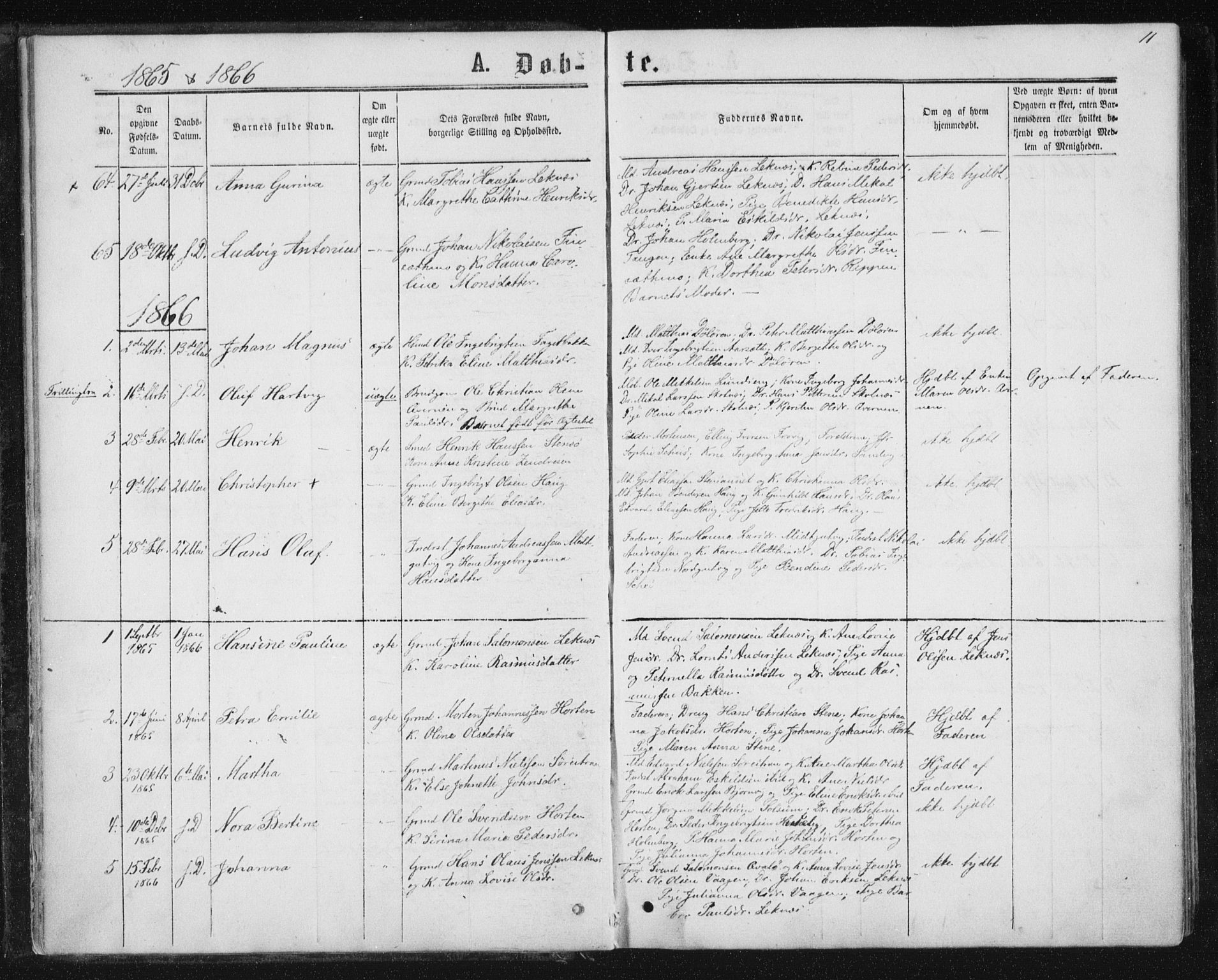 Ministerialprotokoller, klokkerbøker og fødselsregistre - Nord-Trøndelag, AV/SAT-A-1458/788/L0696: Ministerialbok nr. 788A03, 1863-1877, s. 11