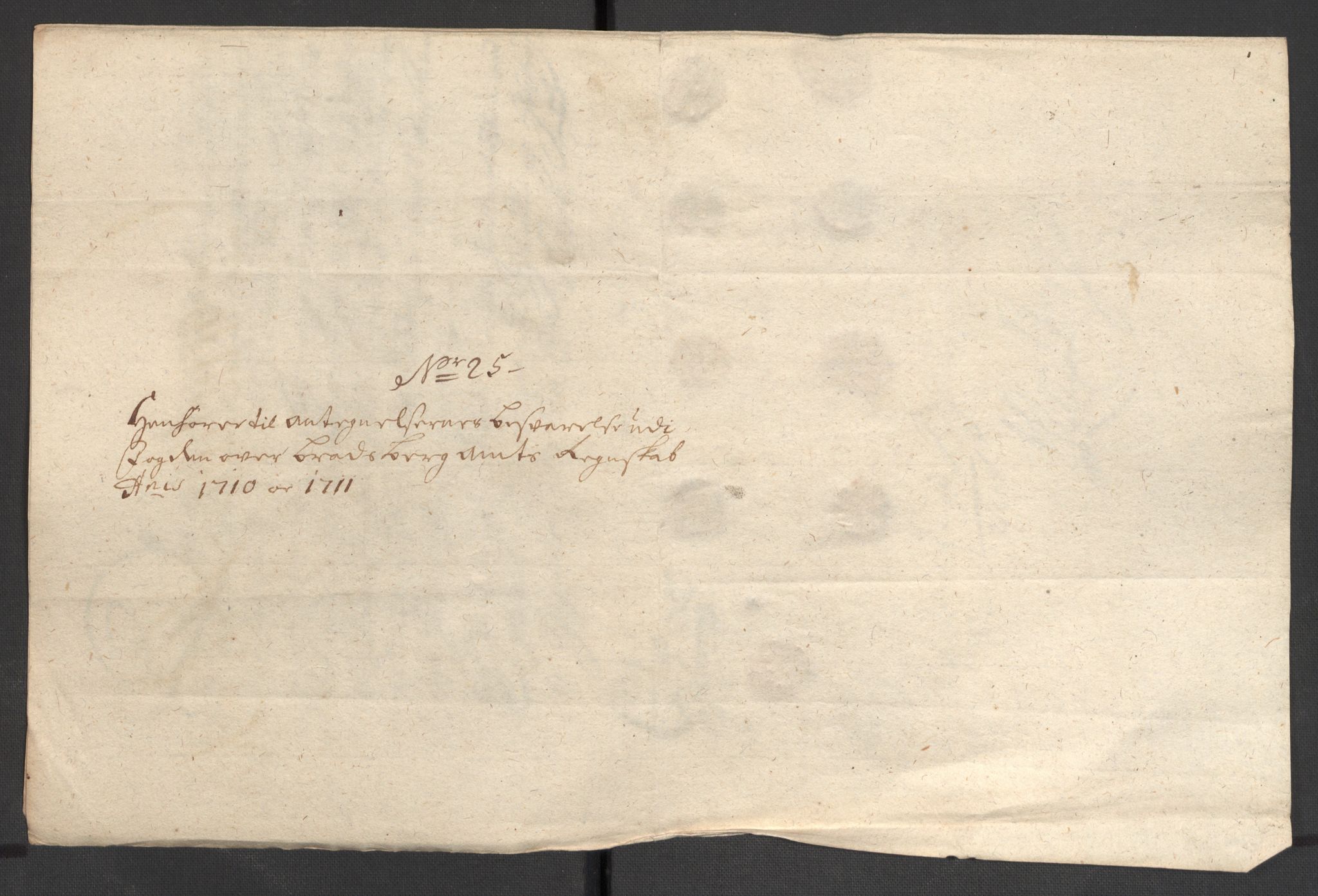 Rentekammeret inntil 1814, Reviderte regnskaper, Fogderegnskap, AV/RA-EA-4092/R36/L2122: Fogderegnskap Øvre og Nedre Telemark og Bamble, 1710-1711, s. 164