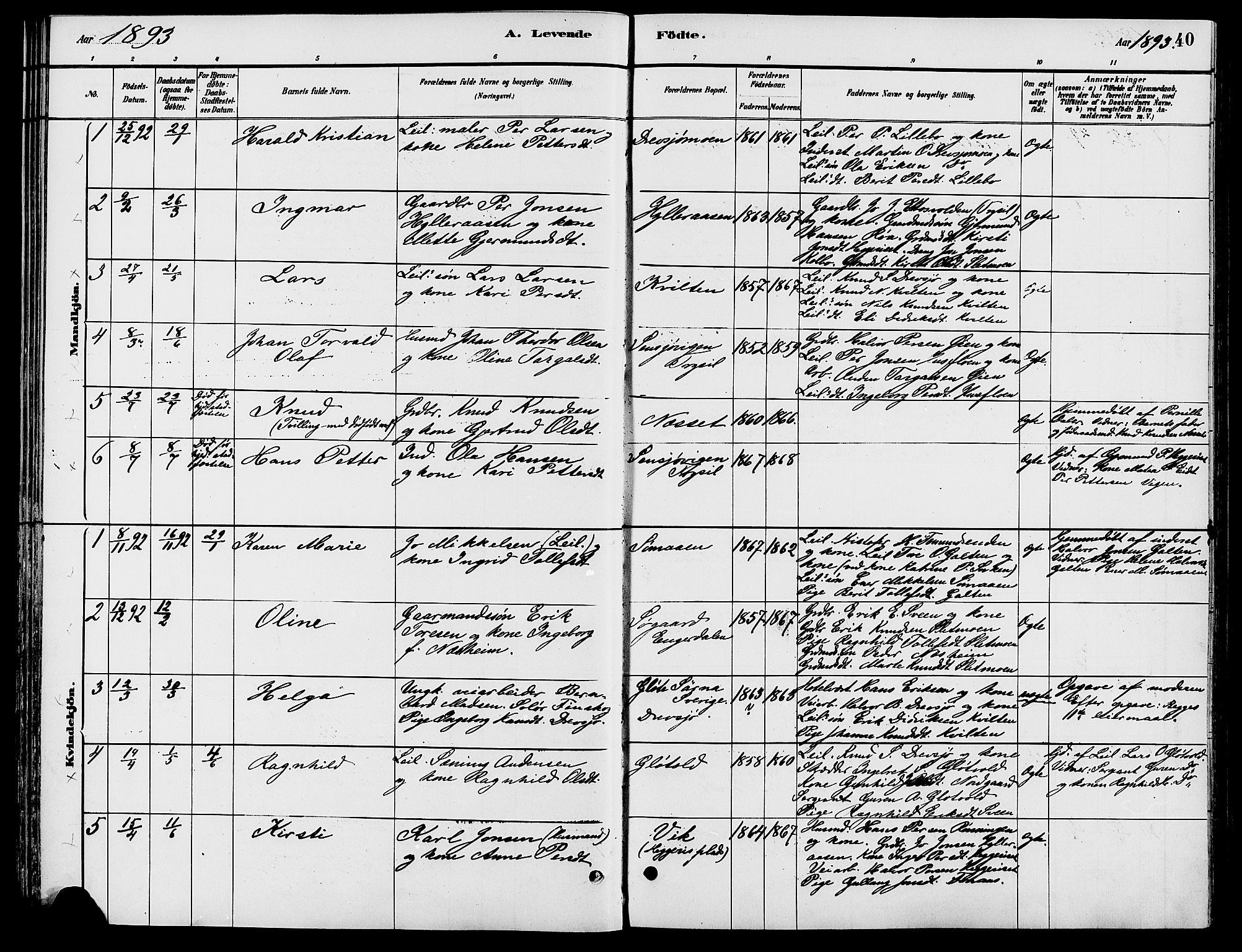 Engerdal prestekontor, SAH/PREST-048/H/Ha/Haa/L0001: Ministerialbok nr. 1, 1881-1898, s. 40