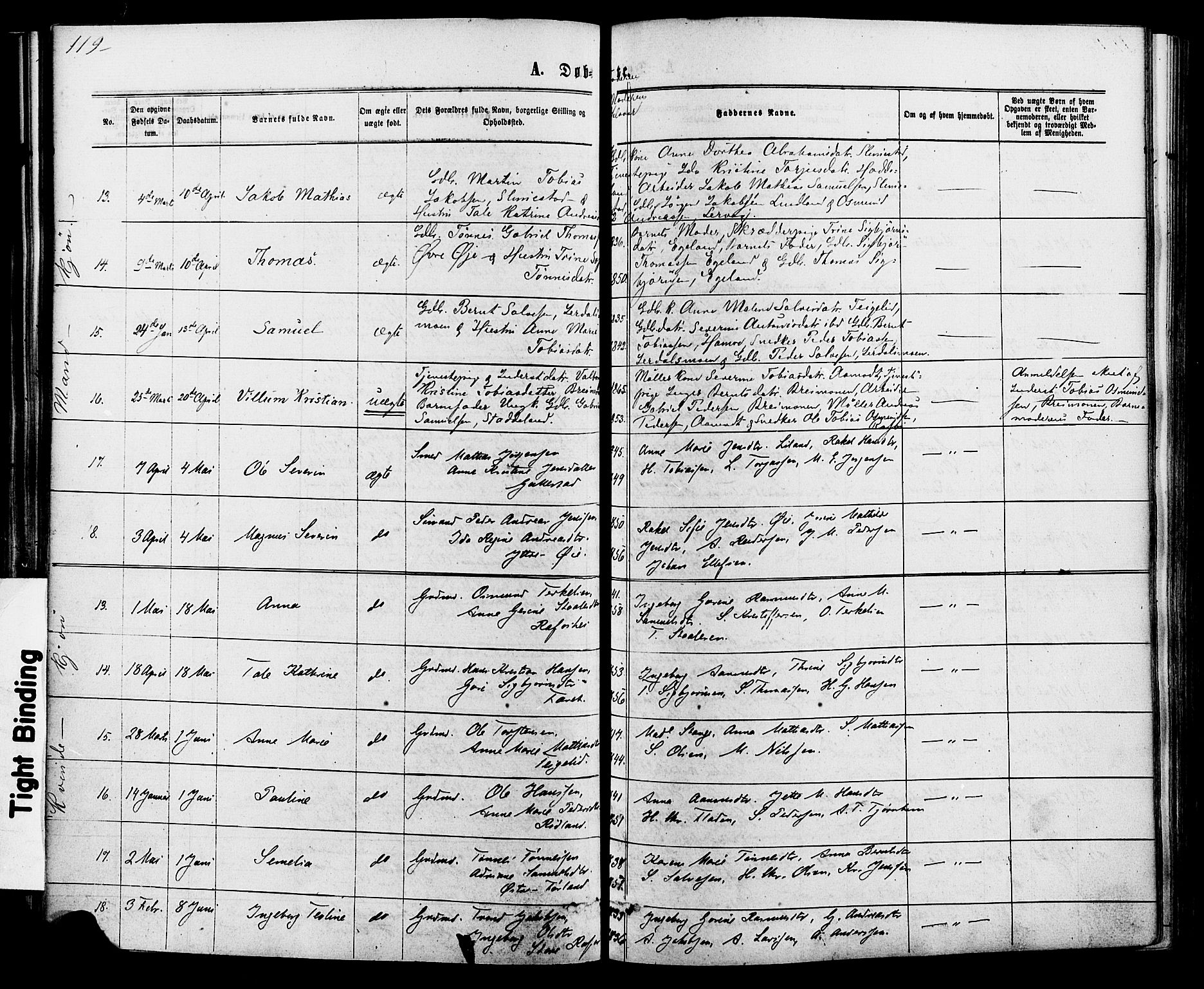 Kvinesdal sokneprestkontor, SAK/1111-0026/F/Fa/Fab/L0007: Ministerialbok nr. A 7, 1870-1885, s. 119