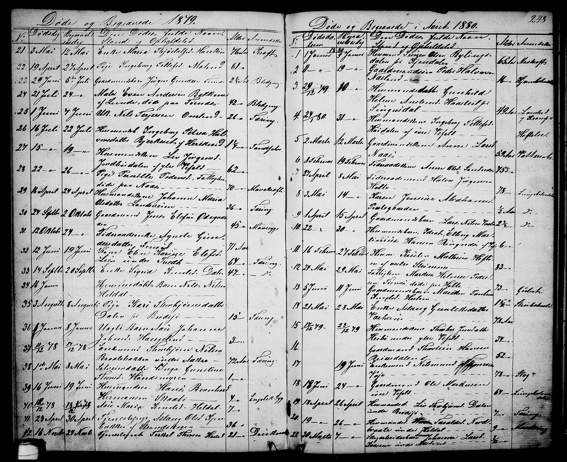 Drangedal kirkebøker, AV/SAKO-A-258/G/Ga/L0002: Klokkerbok nr. I 2, 1856-1887, s. 248