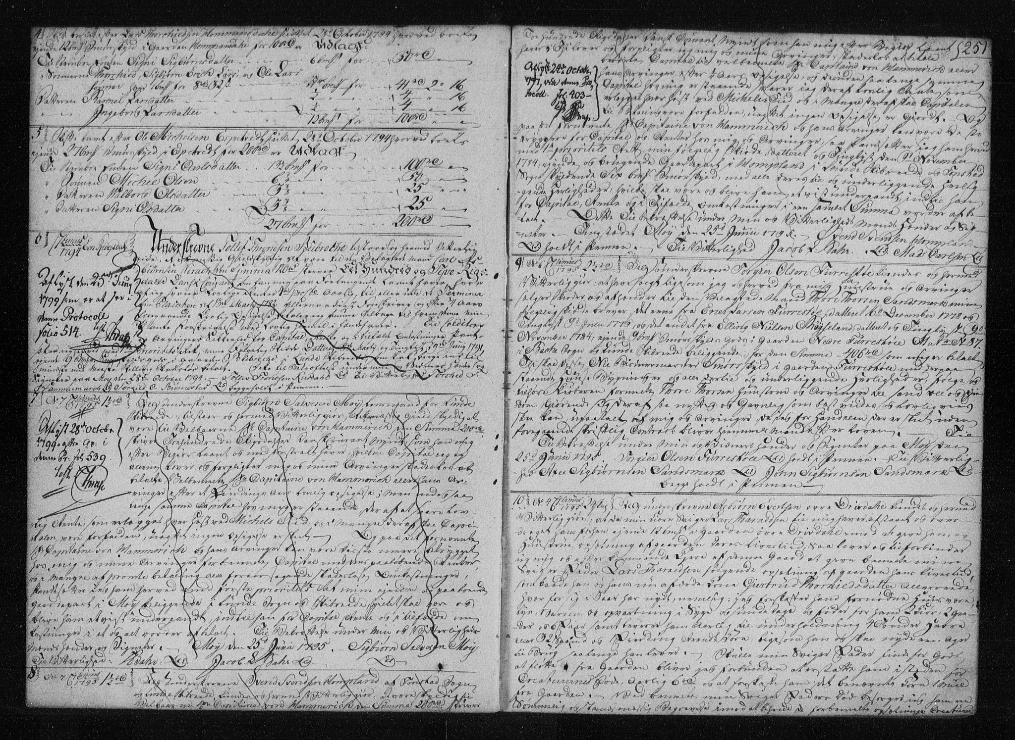 Jæren og Dalane sorenskriveri, AV/SAST-A-100306/4/41/41B/L0009: Pantebok nr. 6b, 1795-1799, s. 251