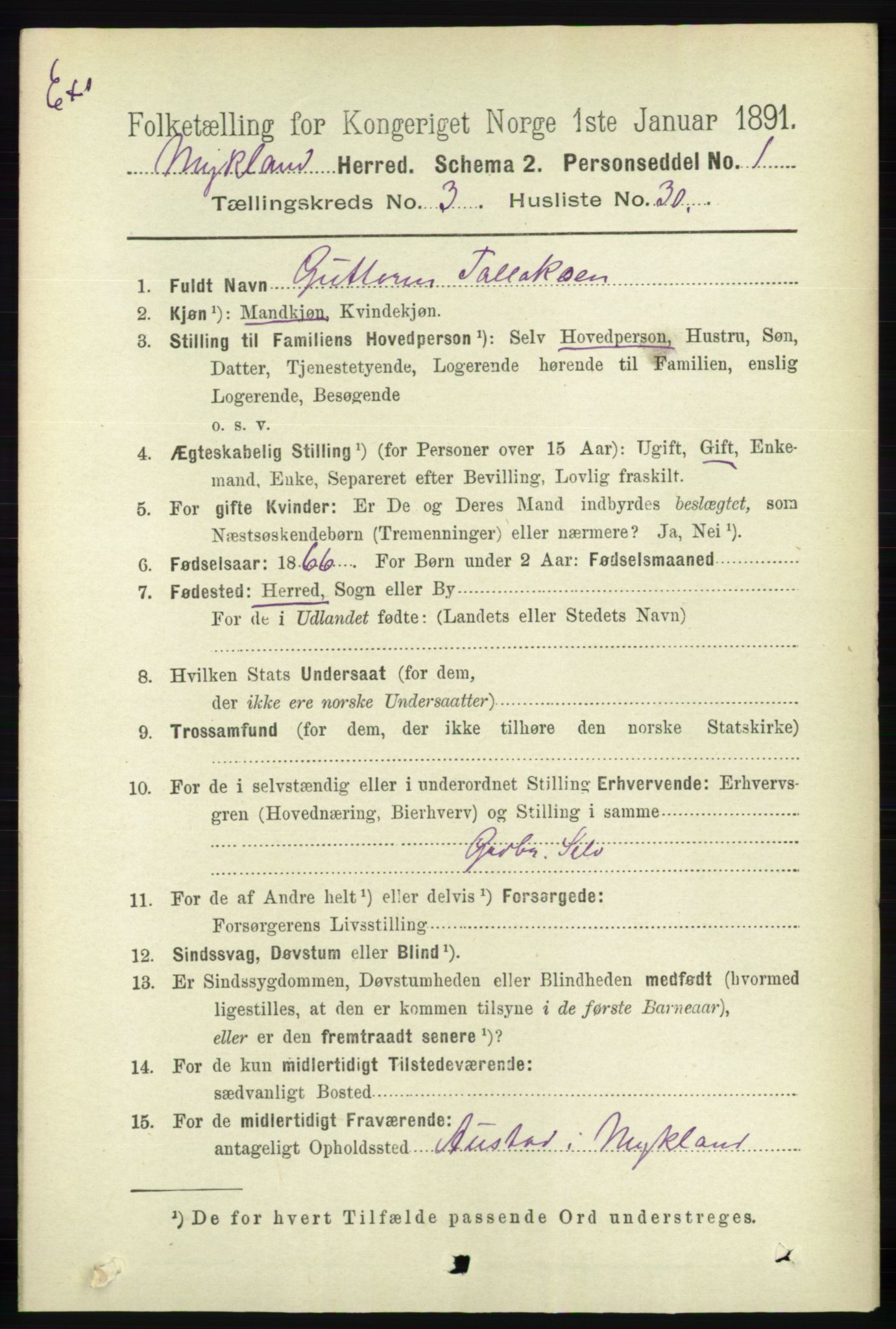 RA, Folketelling 1891 for Nedenes amt: Gjenparter av personsedler for beslektede ektefeller, menn, 1891, s. 410