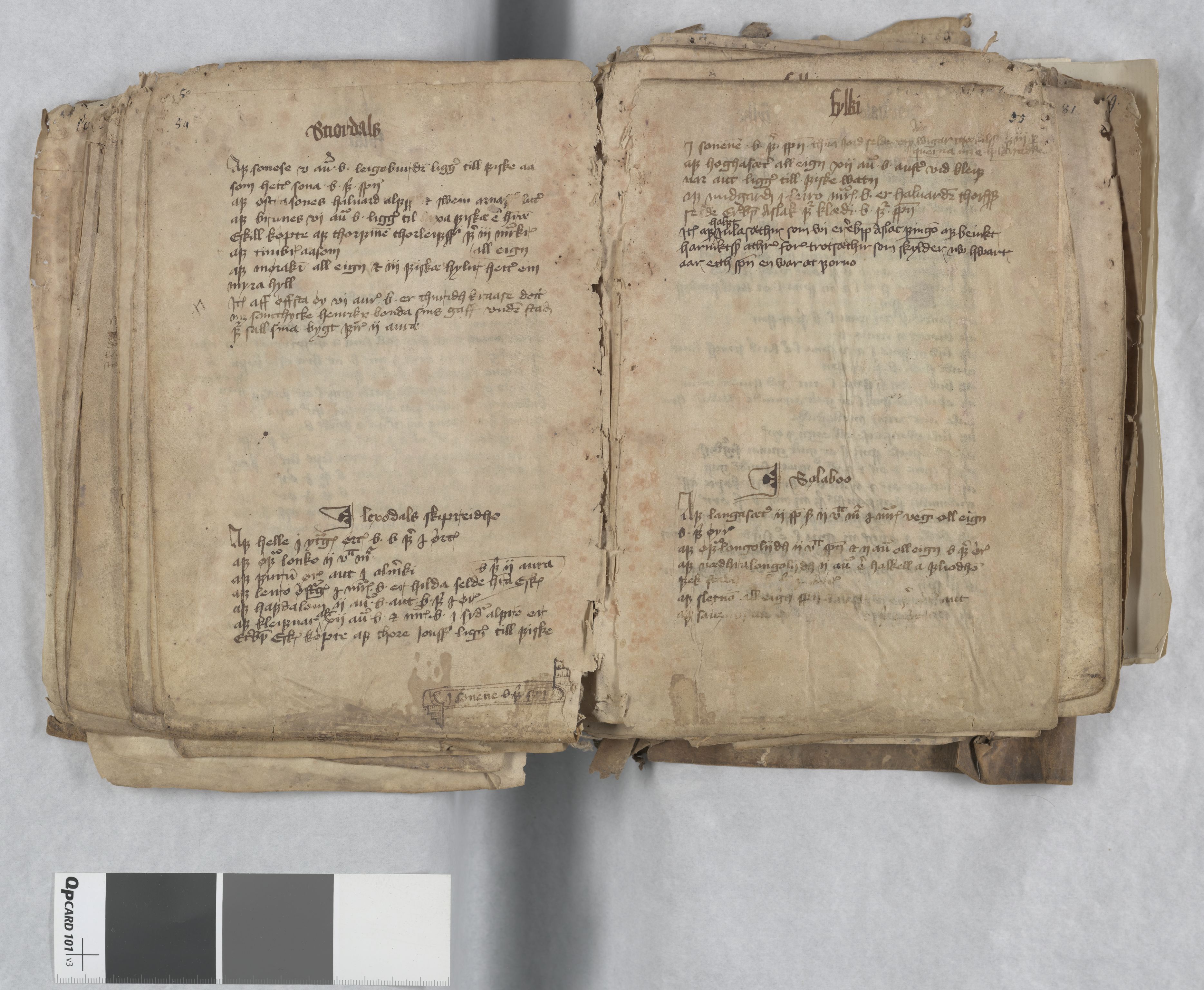 Riksarkivets diplomsamling, AV/RA-EA-5965/F13/F13c/L0001a/0001: NRA dipl. München papir, nr. 4292 Aslak Bolts jordebok. / 4292: Aslak Bolts jordebok, 1430-1439, s. 54-55