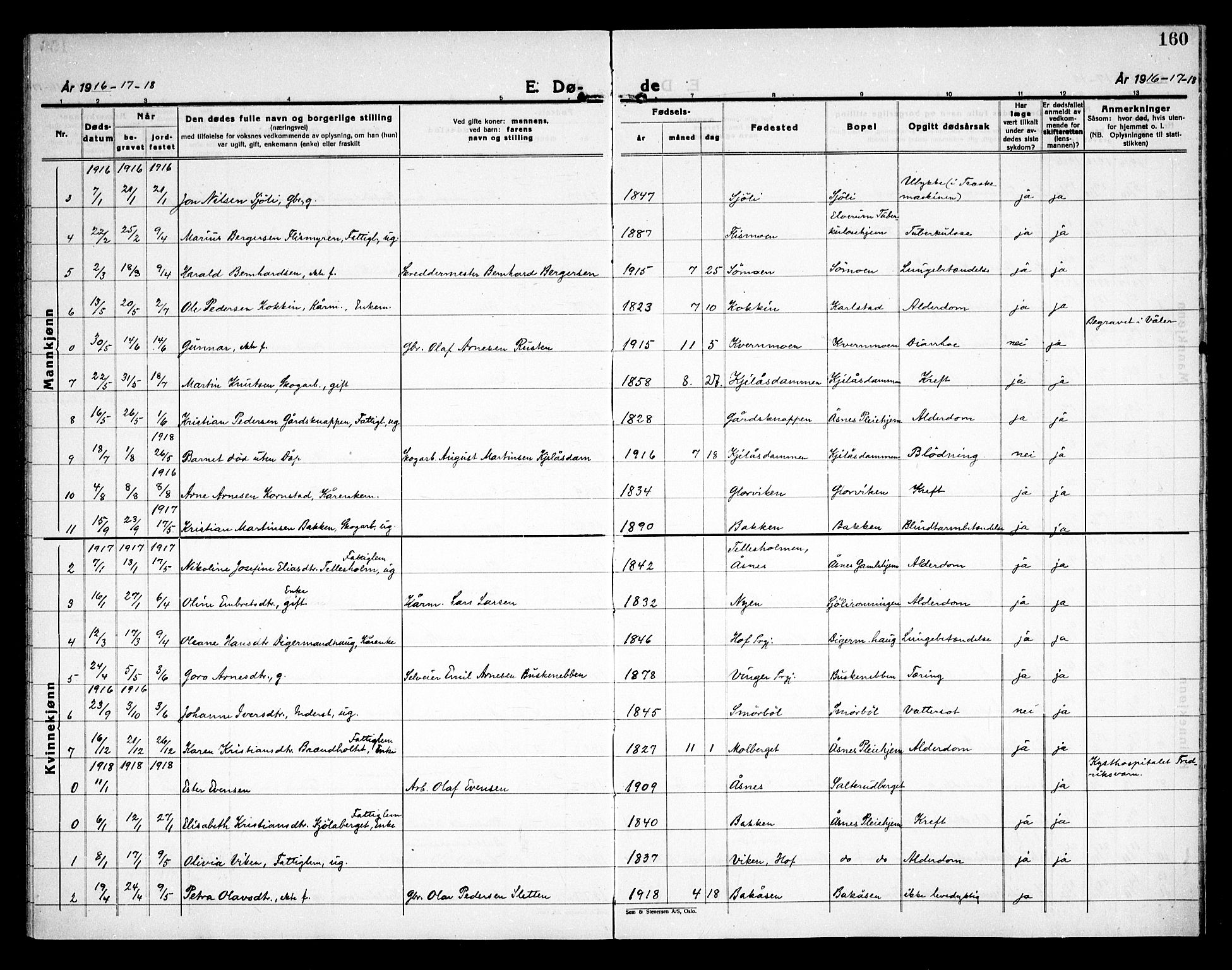 Åsnes prestekontor, AV/SAH-PREST-042/H/Ha/Haa/L0000D: Ministerialbok nr. 0B, 1890-1929, s. 160