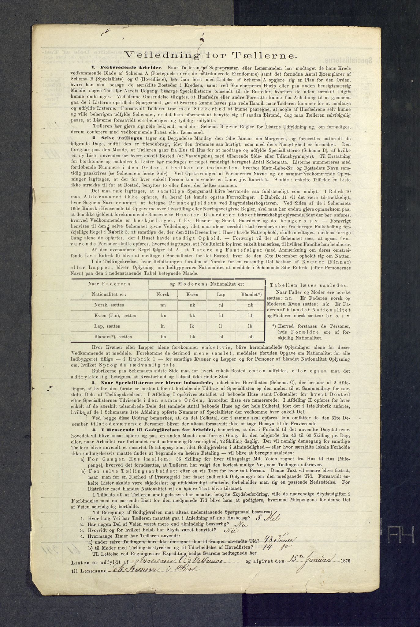 SAKO, Folketelling 1875 for 0620P Hol prestegjeld, 1875, s. 12