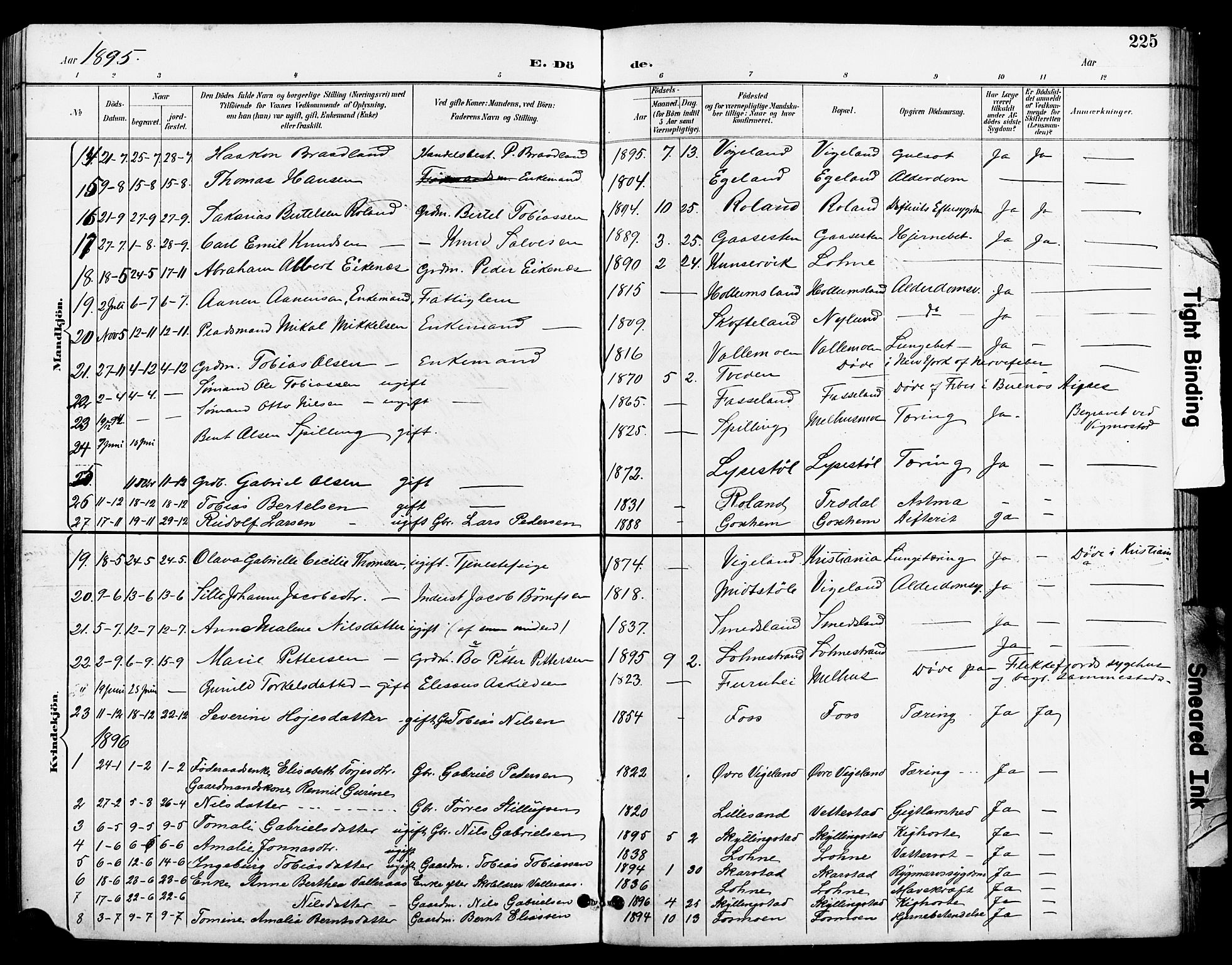 Sør-Audnedal sokneprestkontor, AV/SAK-1111-0039/F/Fb/Fbb/L0006: Klokkerbok nr. B 6, 1893-1915, s. 225