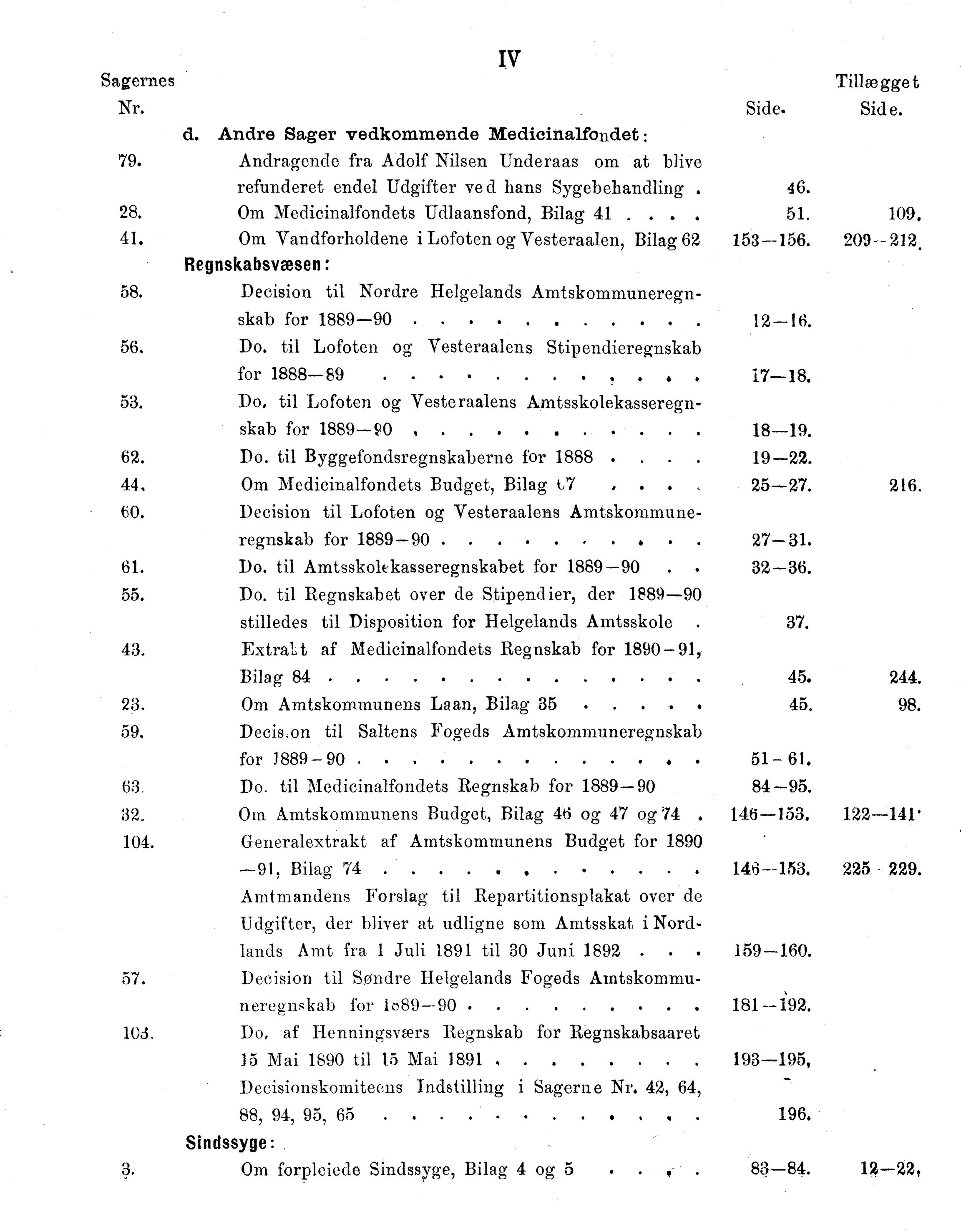 Nordland Fylkeskommune. Fylkestinget, AIN/NFK-17/176/A/Ac/L0016: Fylkestingsforhandlinger 1891-1893, 1891-1893