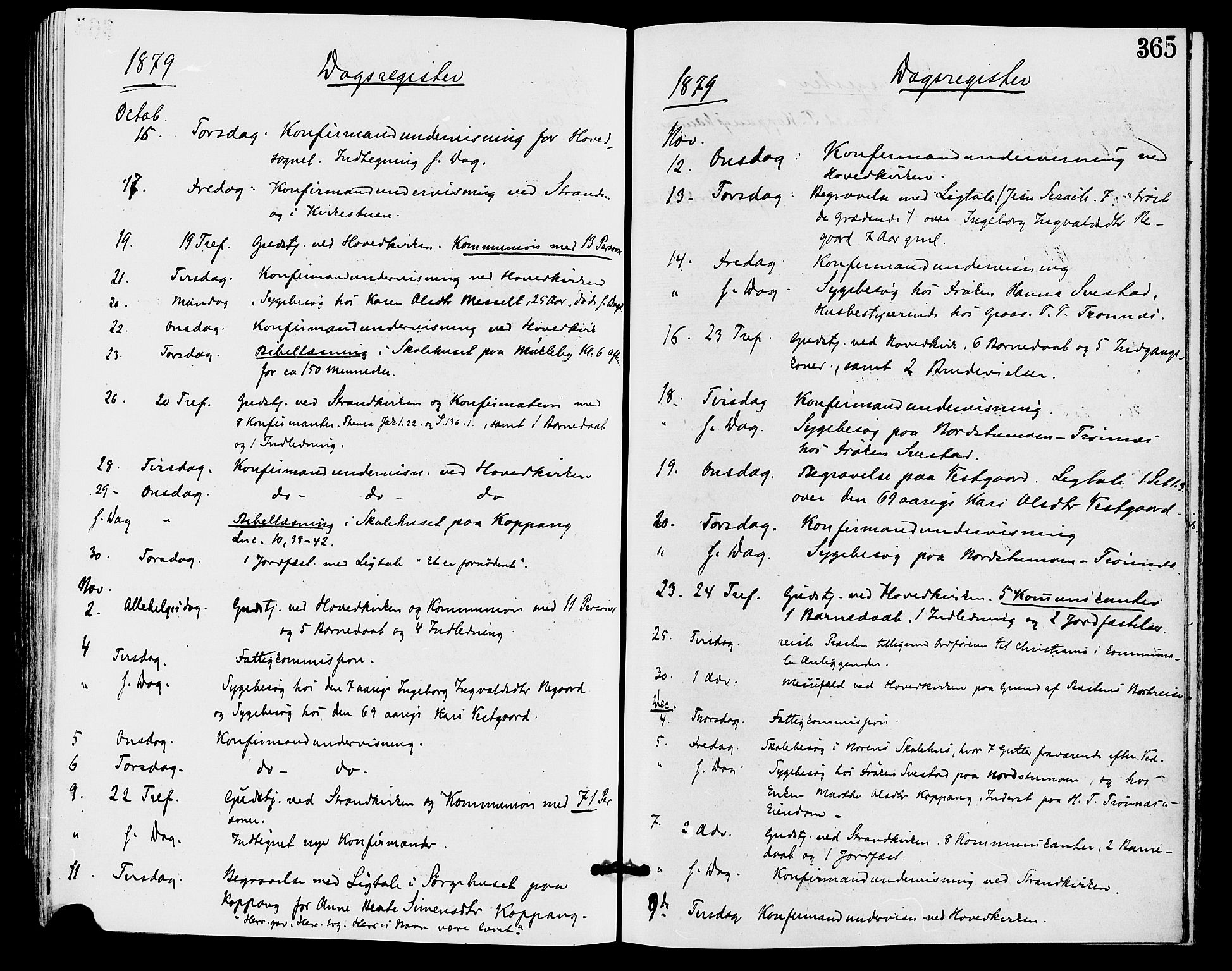 Stor-Elvdal prestekontor, AV/SAH-PREST-052/H/Ha/Haa/L0001: Ministerialbok nr. 1, 1871-1882, s. 365