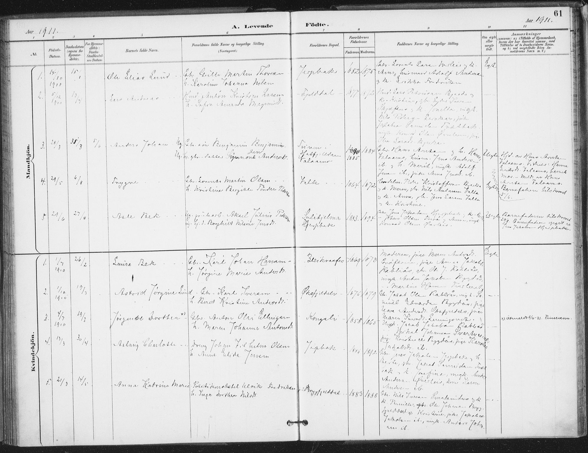 Ministerialprotokoller, klokkerbøker og fødselsregistre - Nordland, AV/SAT-A-1459/826/L0380: Ministerialbok nr. 826A03, 1891-1911, s. 61