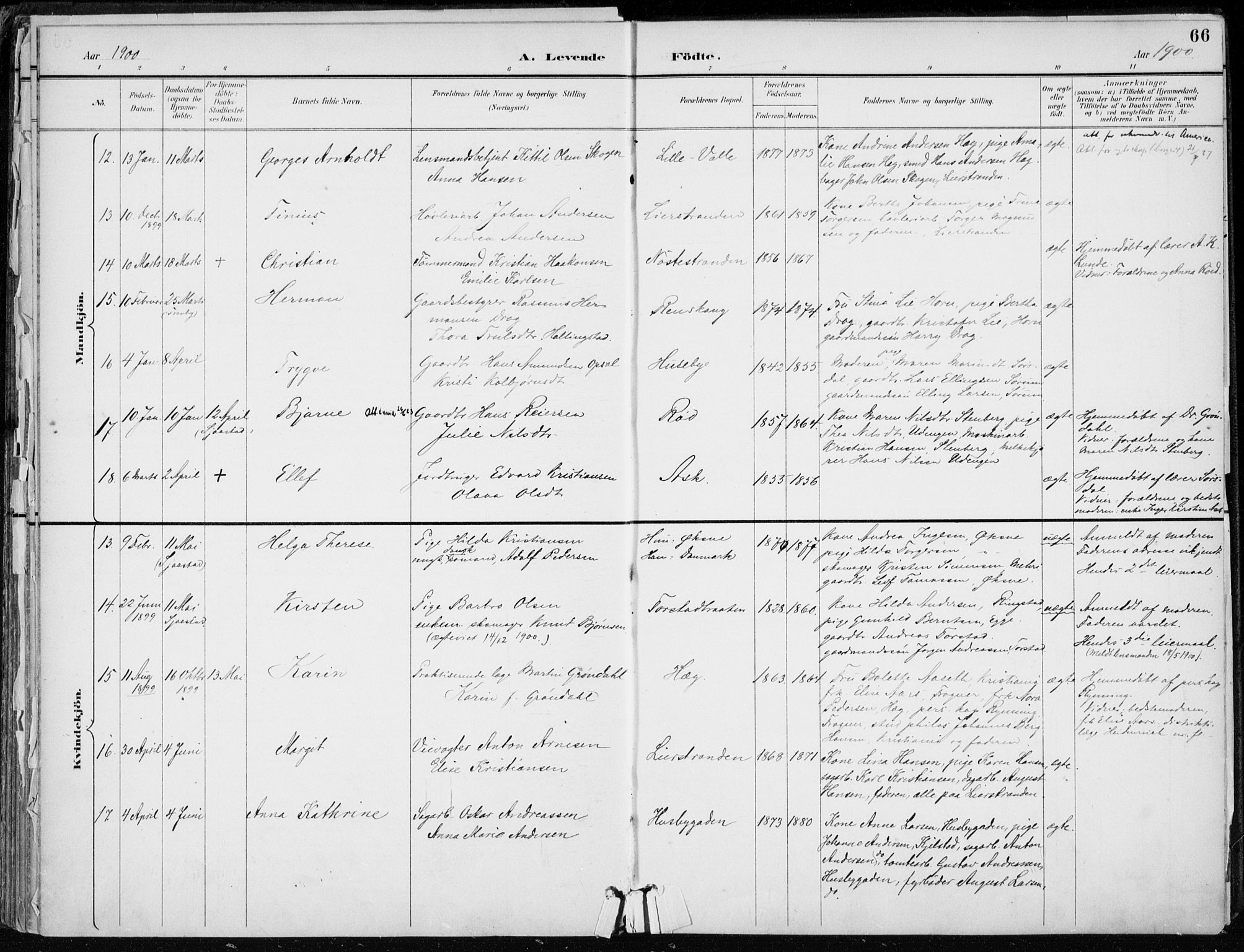 Lier kirkebøker, AV/SAKO-A-230/F/Fa/L0016: Ministerialbok nr. I 16, 1895-1900, s. 66
