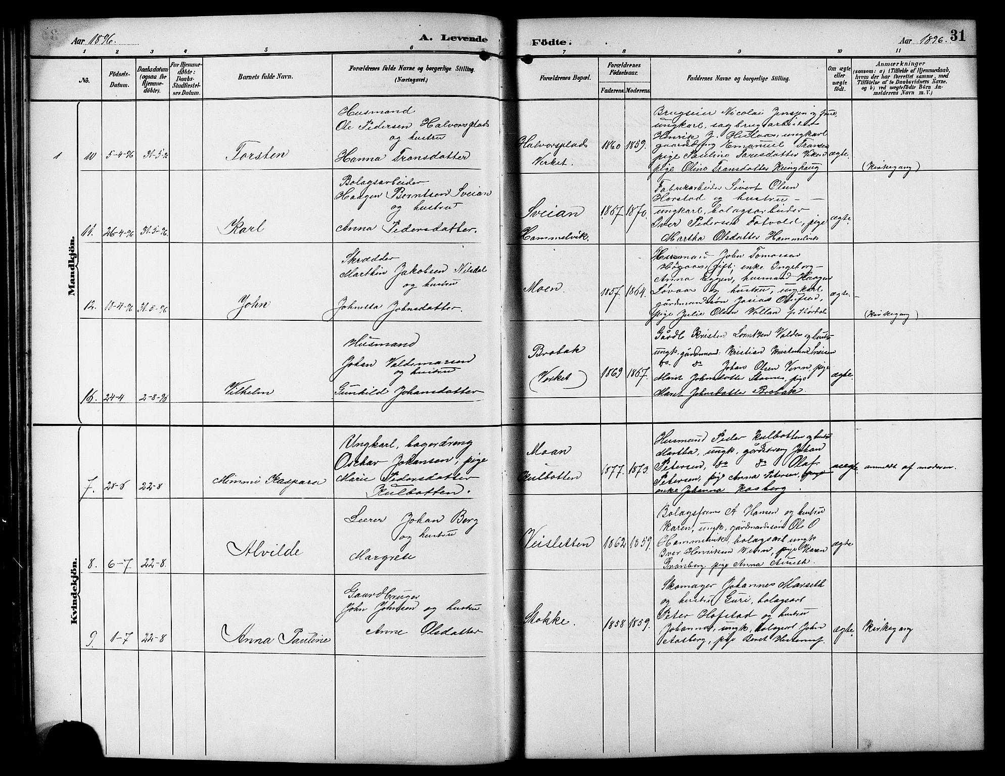 Ministerialprotokoller, klokkerbøker og fødselsregistre - Sør-Trøndelag, AV/SAT-A-1456/617/L0431: Klokkerbok nr. 617C01, 1889-1910, s. 31