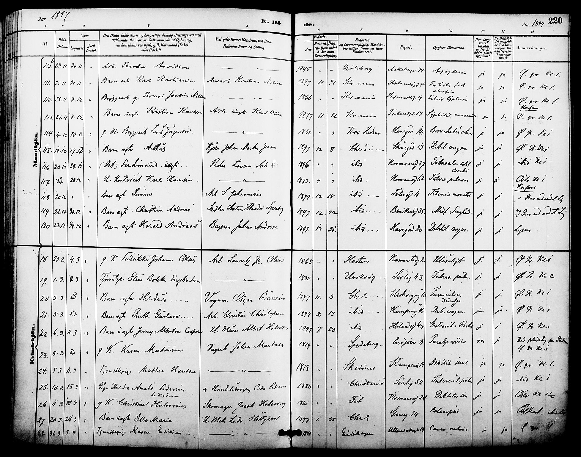 Kampen prestekontor Kirkebøker, AV/SAO-A-10853/F/Fa/L0008: Ministerialbok nr. I 8, 1892-1902, s. 220