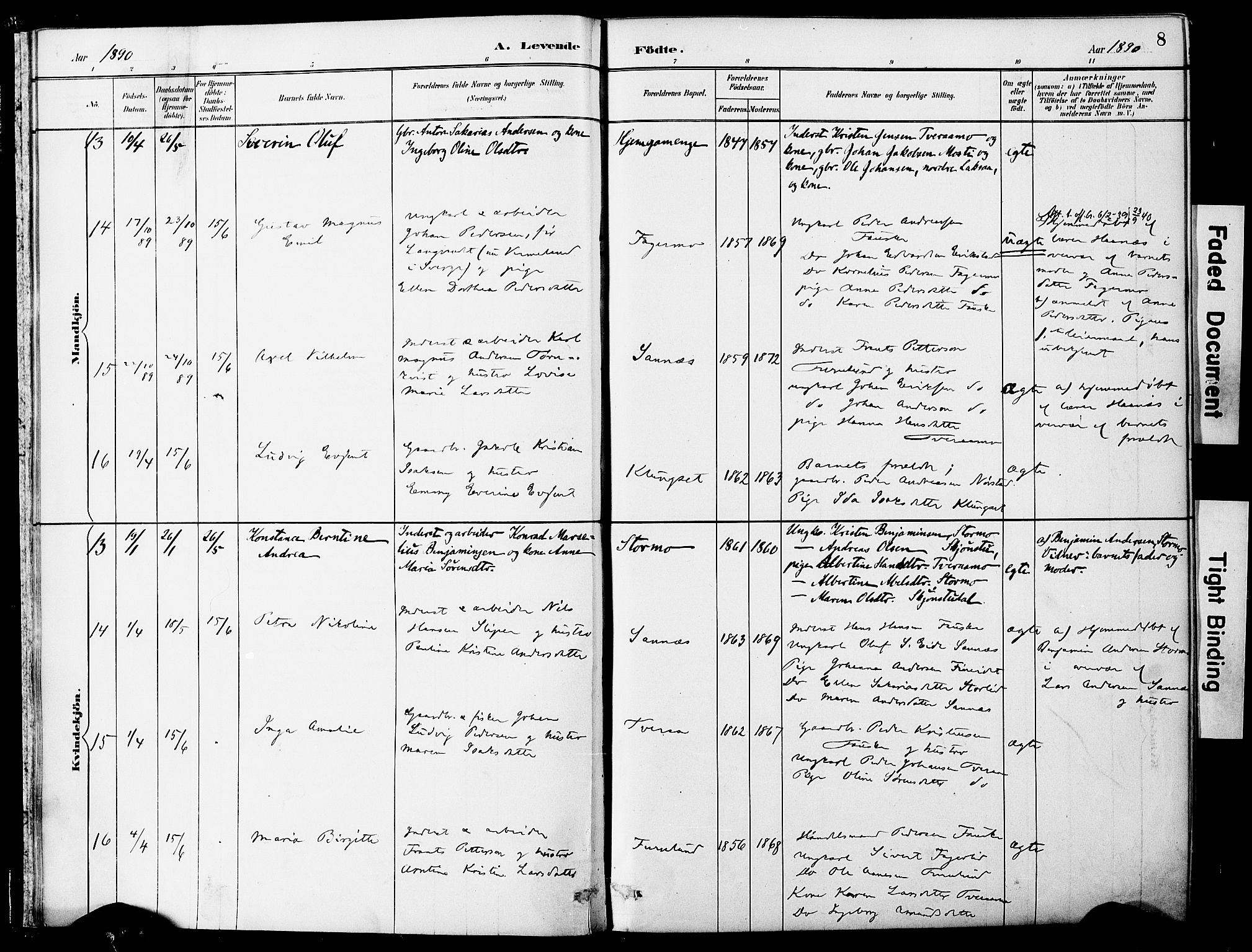 Ministerialprotokoller, klokkerbøker og fødselsregistre - Nordland, AV/SAT-A-1459/849/L0690: Ministerialbok nr. 849A02, 1890-1897, s. 8
