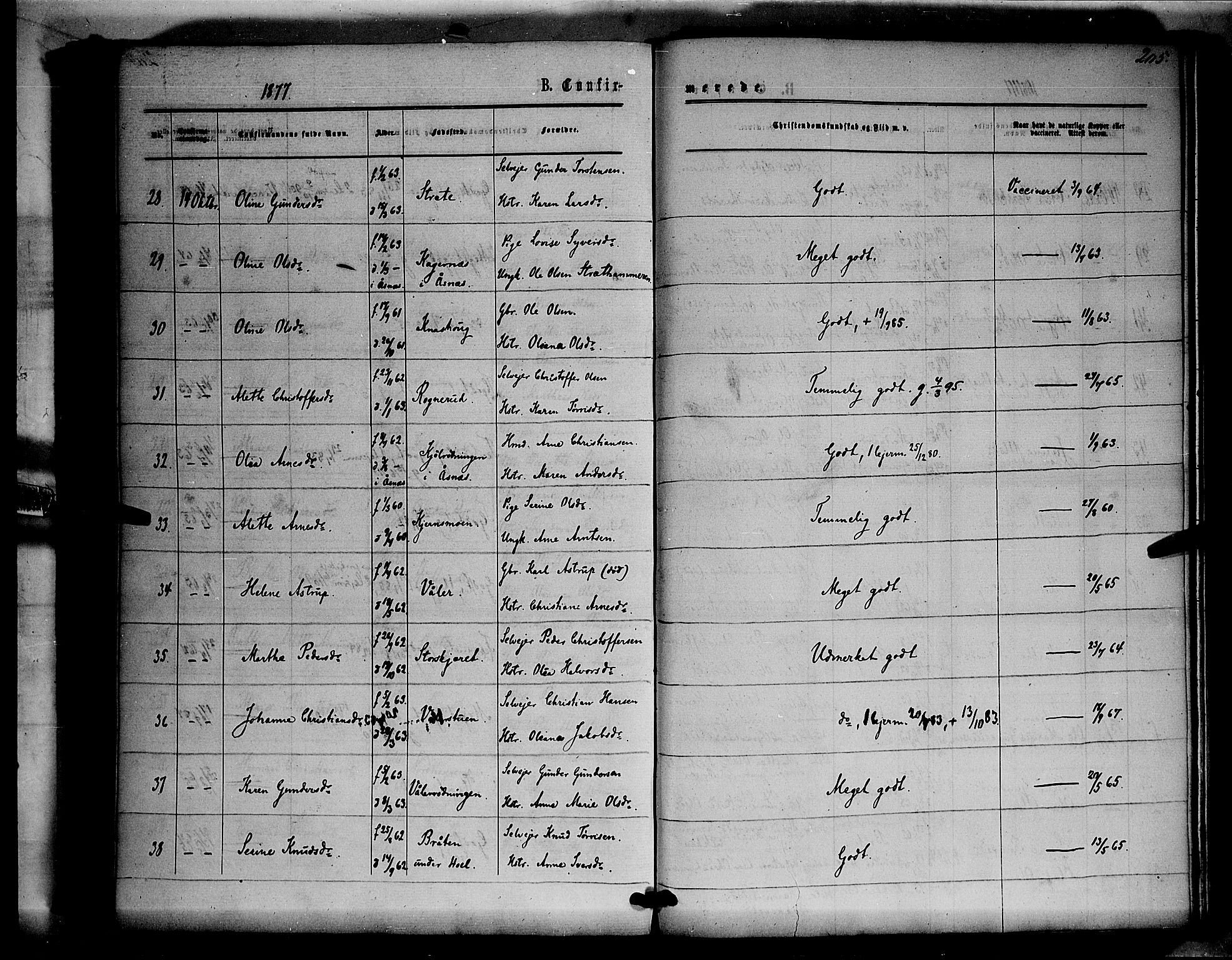 Våler prestekontor, Hedmark, AV/SAH-PREST-040/H/Ha/Haa/L0002: Ministerialbok nr. 2, 1867-1878, s. 205