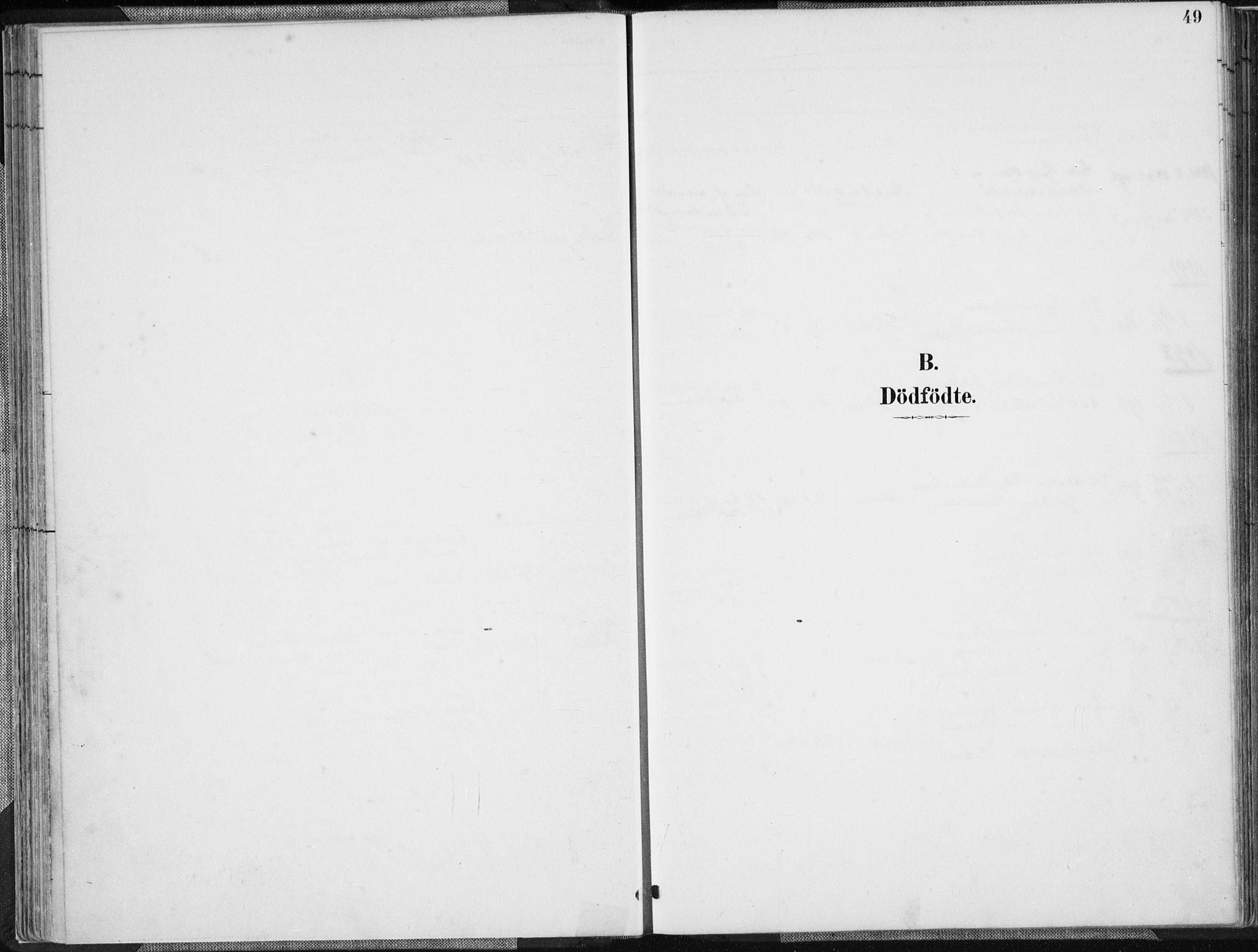 Herad sokneprestkontor, SAK/1111-0018/F/Fa/Faa/L0006: Ministerialbok nr. A 6, 1887-1907, s. 49