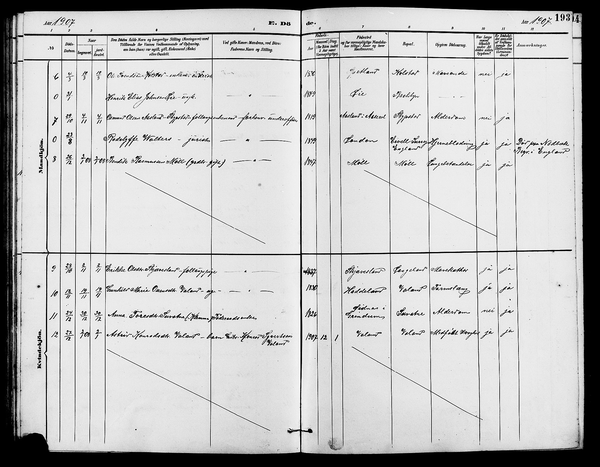 Holum sokneprestkontor, AV/SAK-1111-0022/F/Fb/Fba/L0005: Klokkerbok nr. B 5, 1891-1909, s. 193