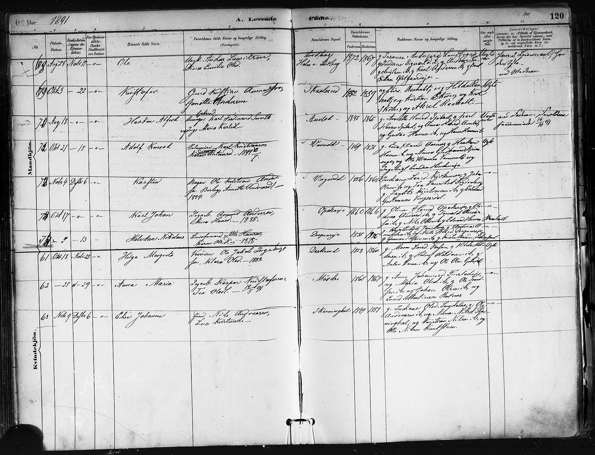 Nes prestekontor Kirkebøker, AV/SAO-A-10410/F/Fa/L0010: Ministerialbok nr. I 10, 1883-1898, s. 120