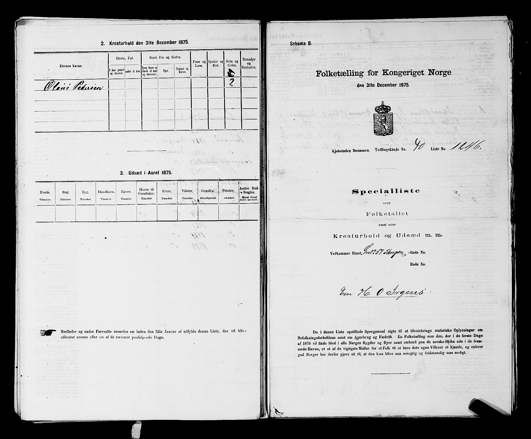 SAKO, Folketelling 1875 for 0602 Drammen kjøpstad, 1875, s. 3423