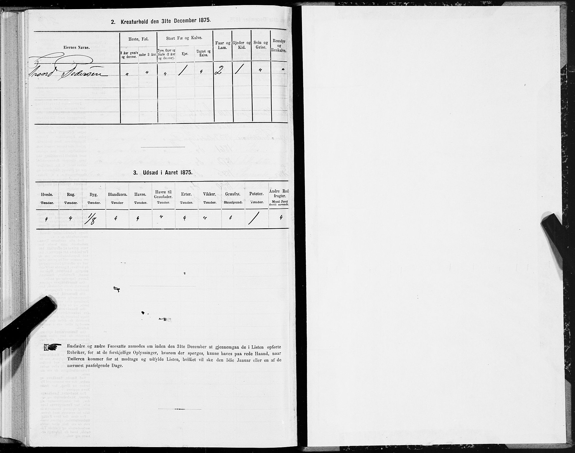 SAT, Folketelling 1875 for 1843L Bodø prestegjeld, Bodø landsokn, 1875