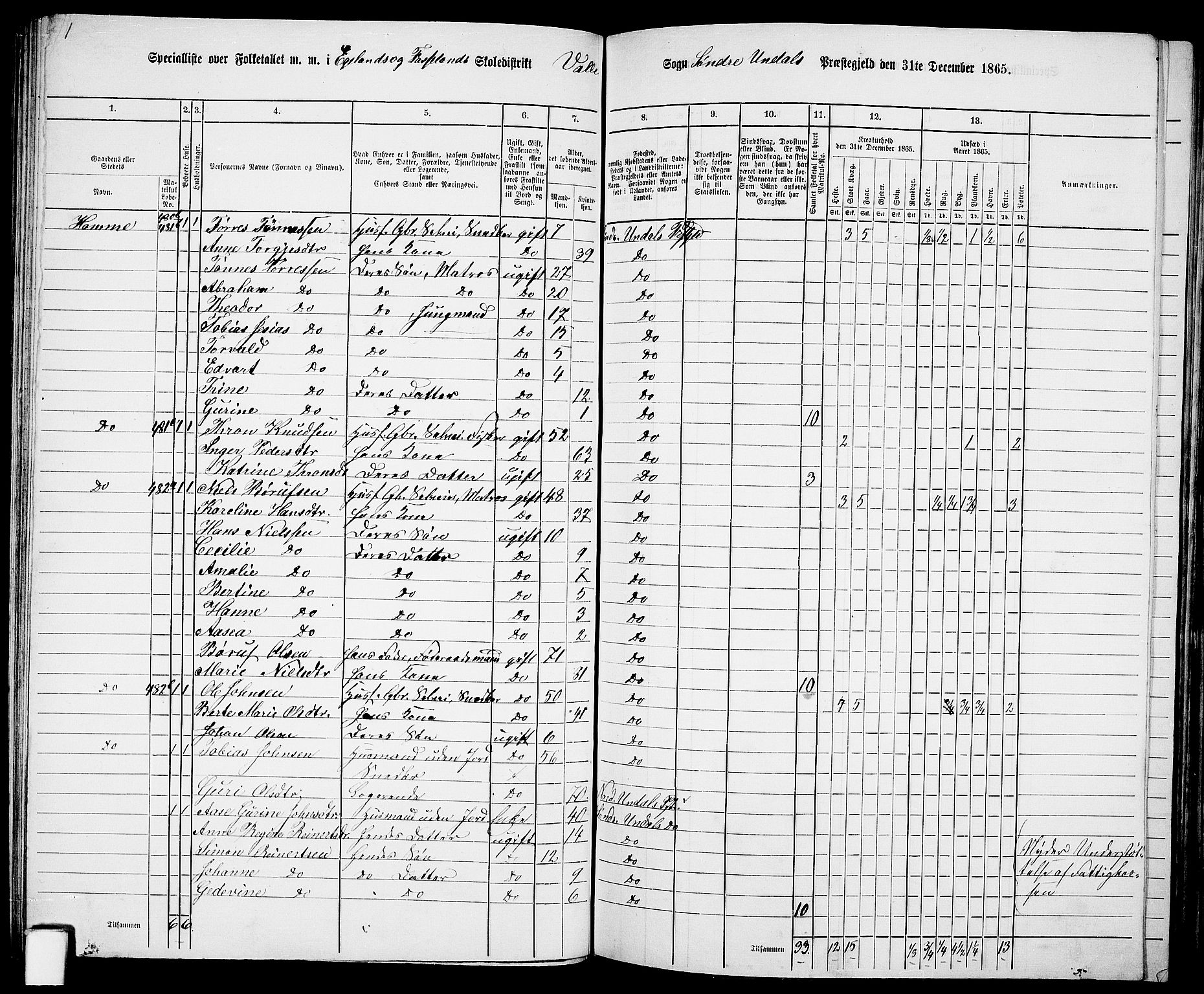 RA, Folketelling 1865 for 1029P Sør-Audnedal prestegjeld, 1865, s. 78