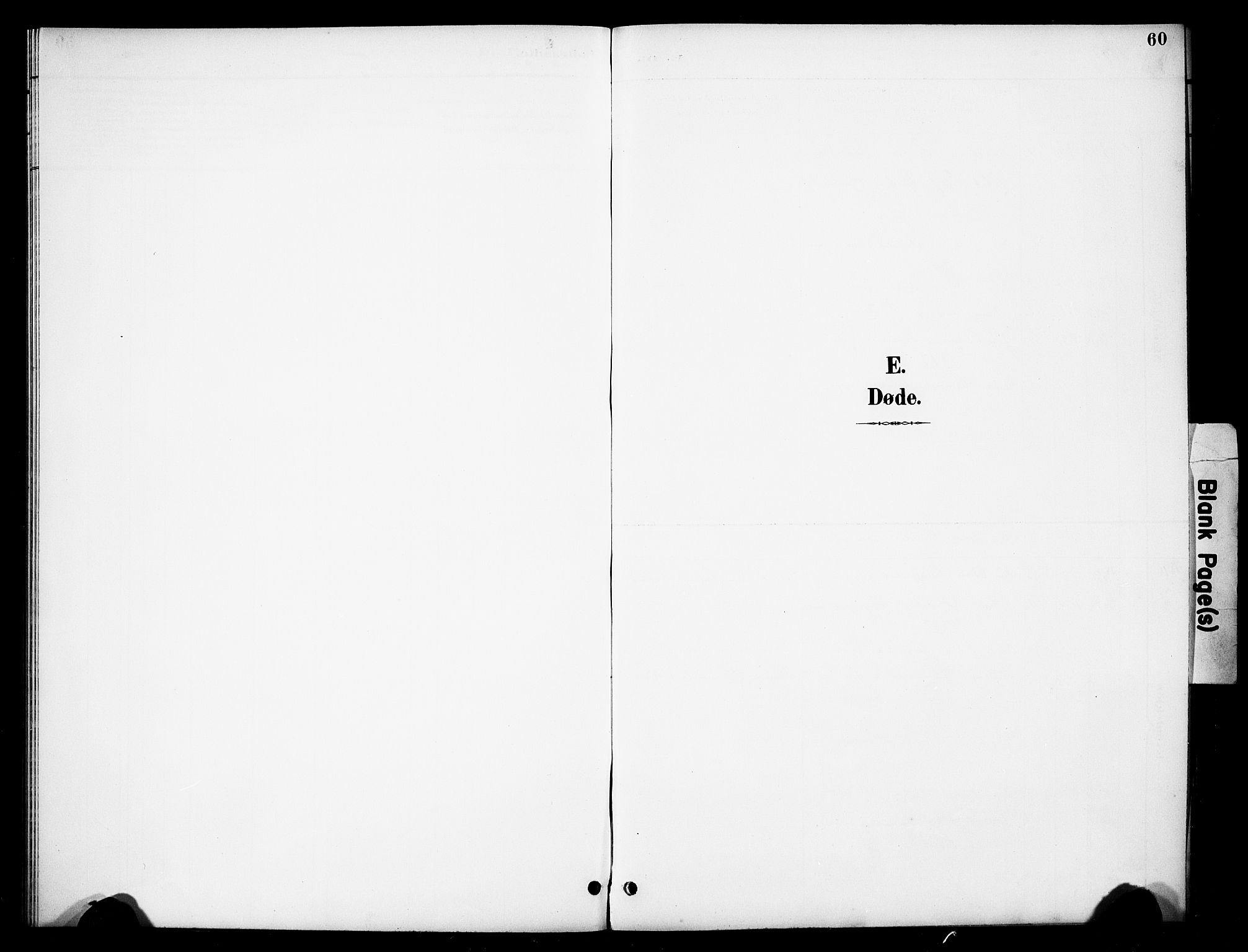 Åmot prestekontor, Hedmark, AV/SAH-PREST-056/H/Ha/Hab/L0013: Klokkerbok nr. 13, 1895-1910, s. 60