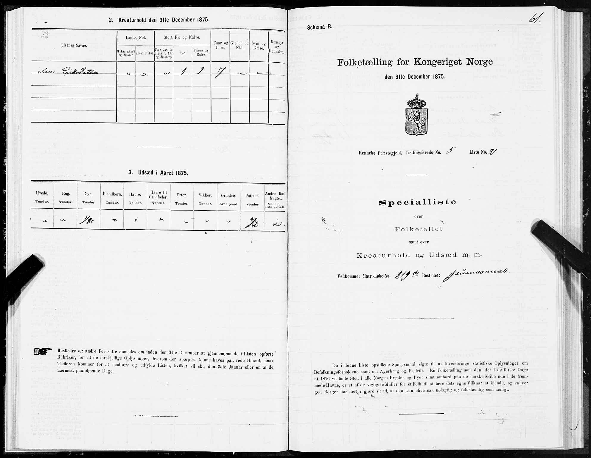 SAT, Folketelling 1875 for 1635P Rennebu prestegjeld, 1875, s. 3061