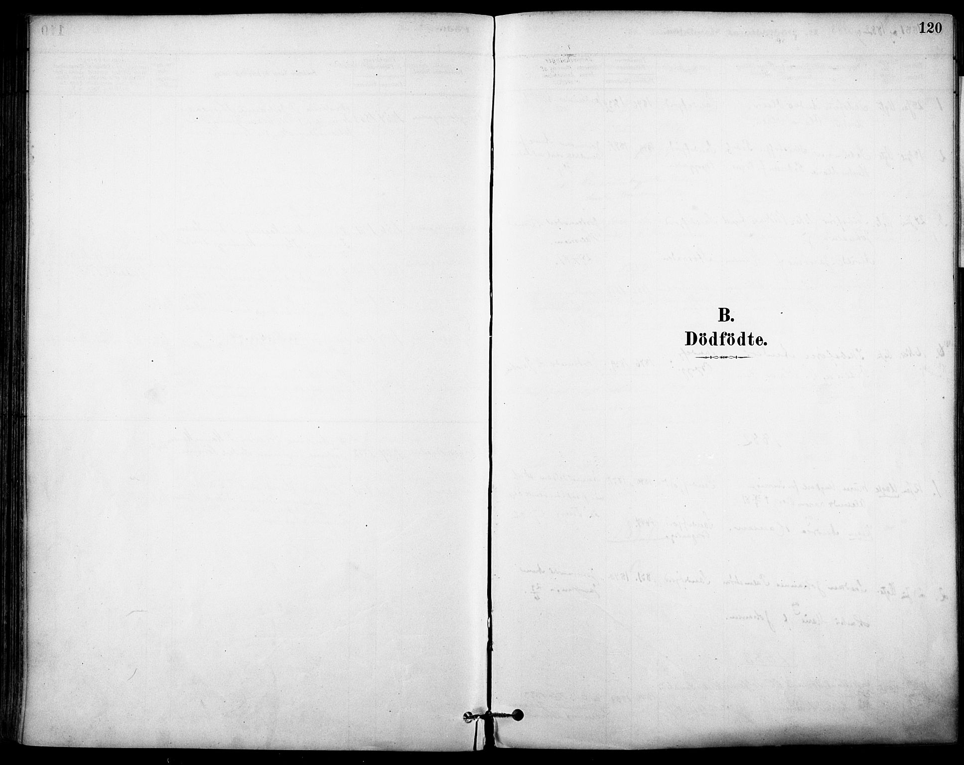 Sandefjord kirkebøker, SAKO/A-315/F/Fa/L0002: Ministerialbok nr. 2, 1880-1894, s. 120