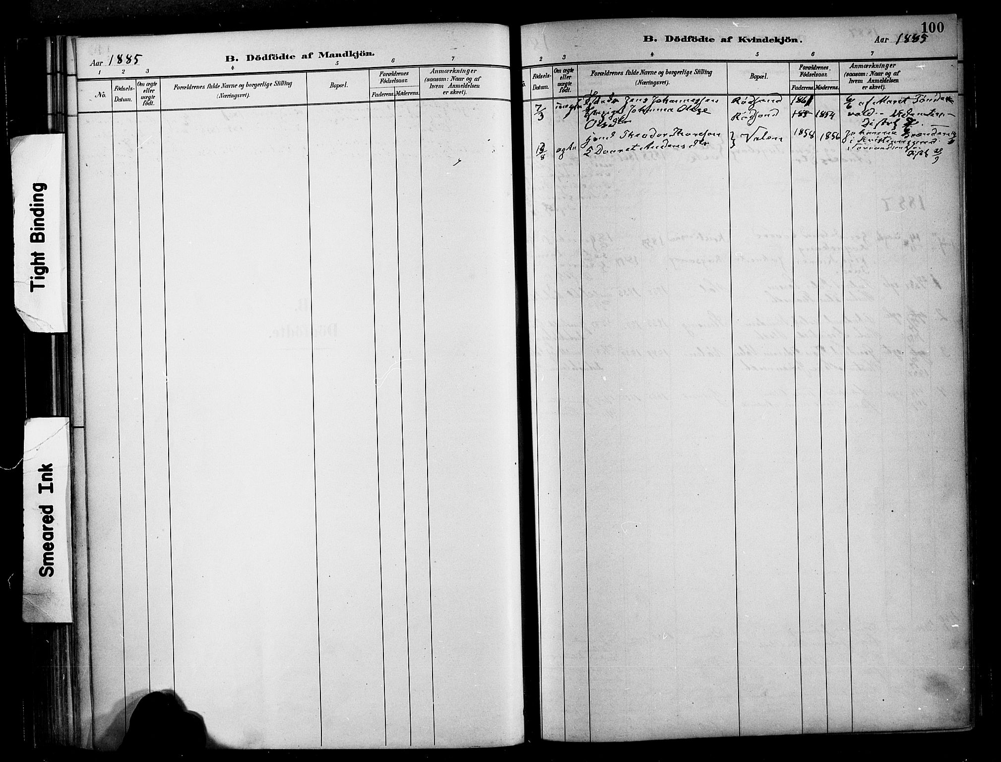 Ministerialprotokoller, klokkerbøker og fødselsregistre - Møre og Romsdal, SAT/A-1454/569/L0819: Ministerialbok nr. 569A05, 1885-1899, s. 100