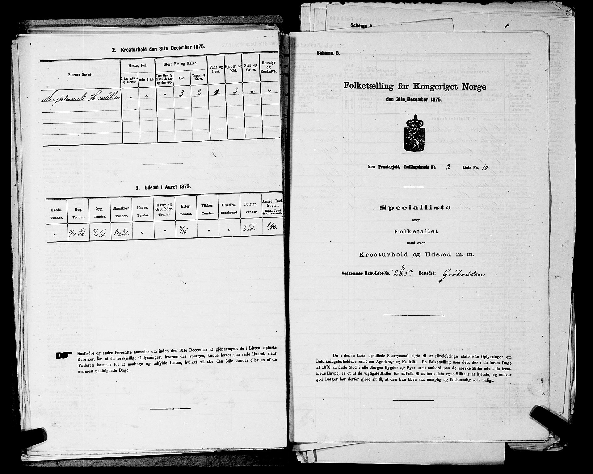 SAKO, Folketelling 1875 for 0616P Nes prestegjeld, 1875, s. 463