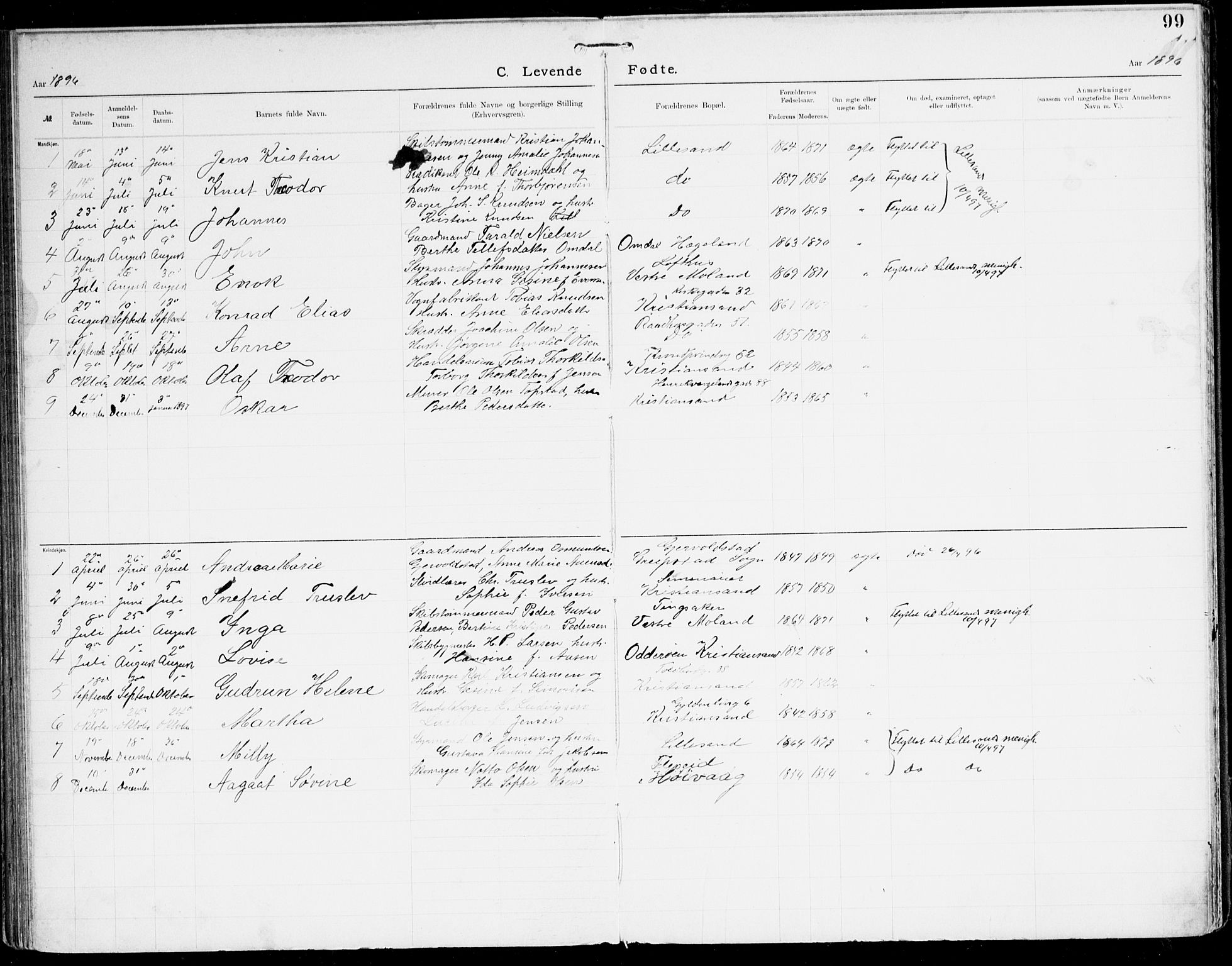Den evangelisk-lutherske frikirke, Kristiansand, AV/SAK-1292-0017/F/Fa/L0003: Dissenterprotokoll nr. F 11, 1892-1925, s. 99