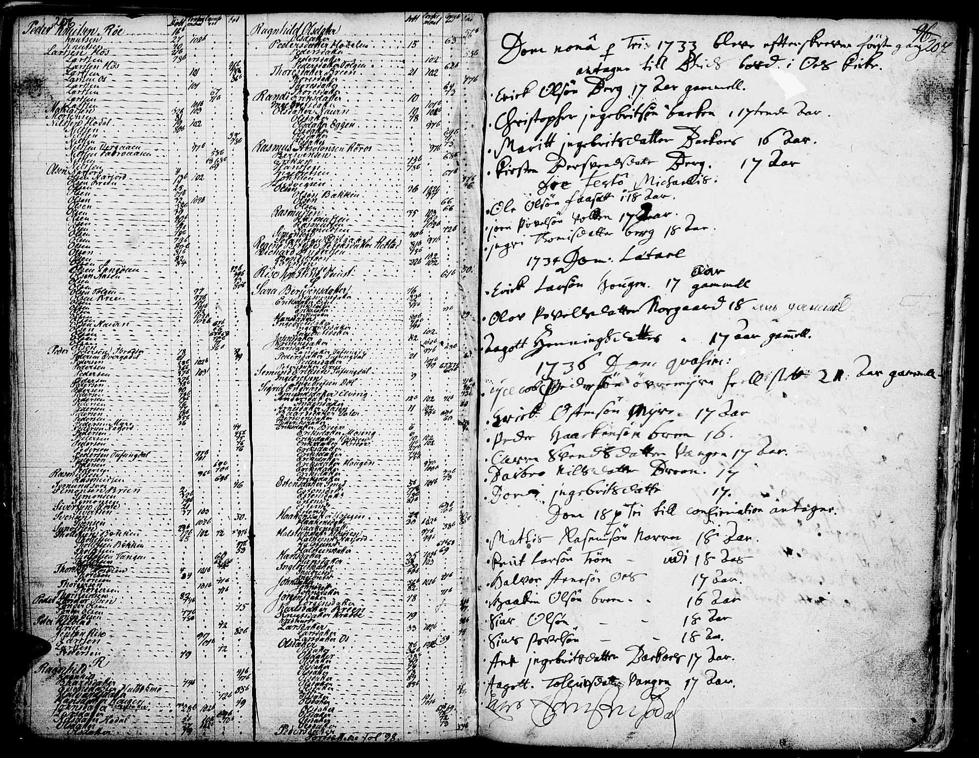 Tolga prestekontor, AV/SAH-PREST-062/K/L0001: Ministerialbok nr. 1, 1733-1767, s. 206-207