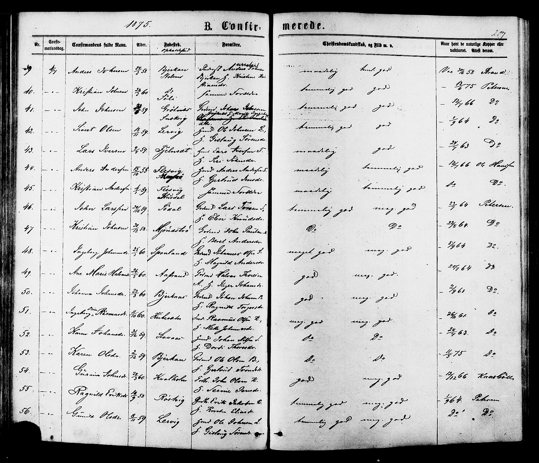 Ministerialprotokoller, klokkerbøker og fødselsregistre - Sør-Trøndelag, AV/SAT-A-1456/630/L0495: Ministerialbok nr. 630A08, 1868-1878, s. 207