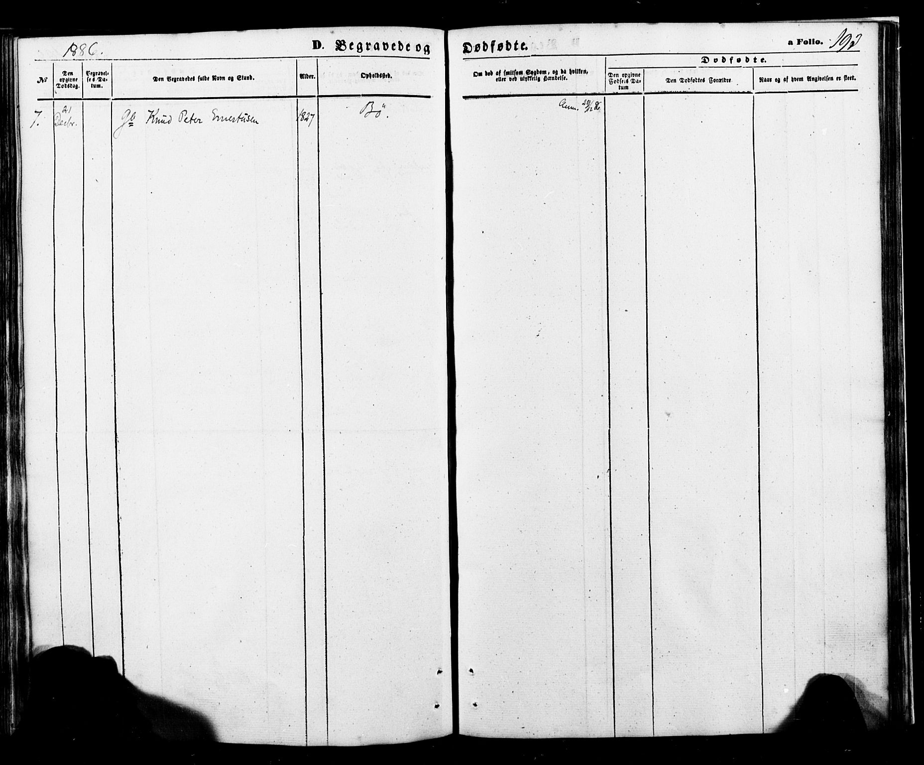 Ministerialprotokoller, klokkerbøker og fødselsregistre - Nordland, AV/SAT-A-1459/898/L1421: Ministerialbok nr. 898A01, 1866-1886, s. 193