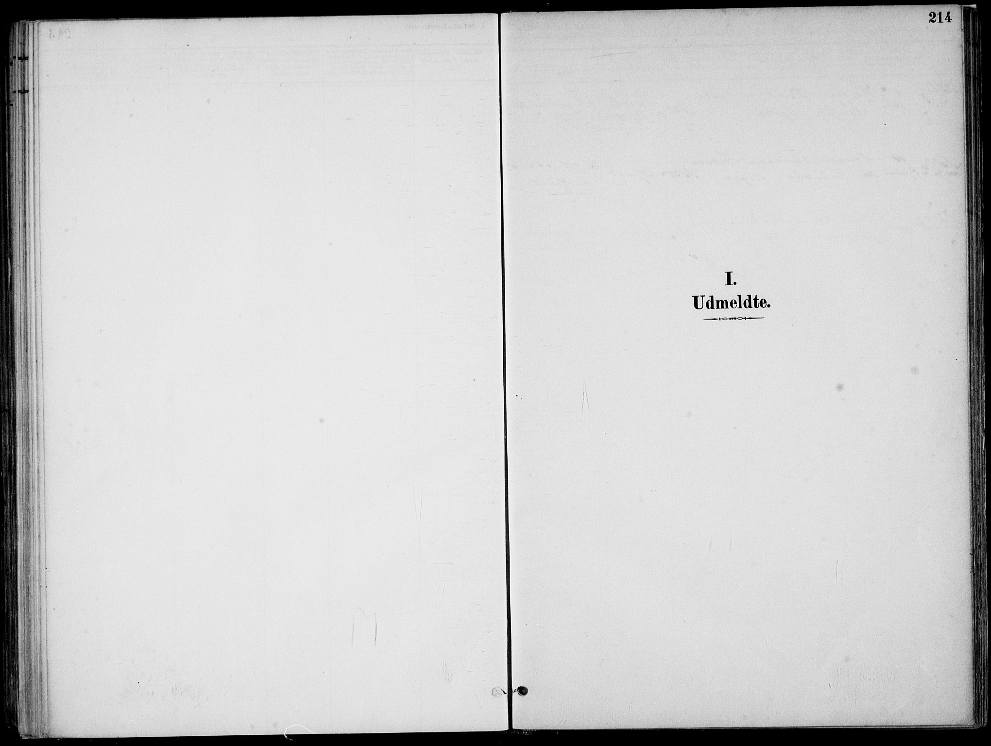 Skjold sokneprestkontor, AV/SAST-A-101847/H/Ha/Haa/L0010: Ministerialbok nr. A 10, 1882-1897, s. 214