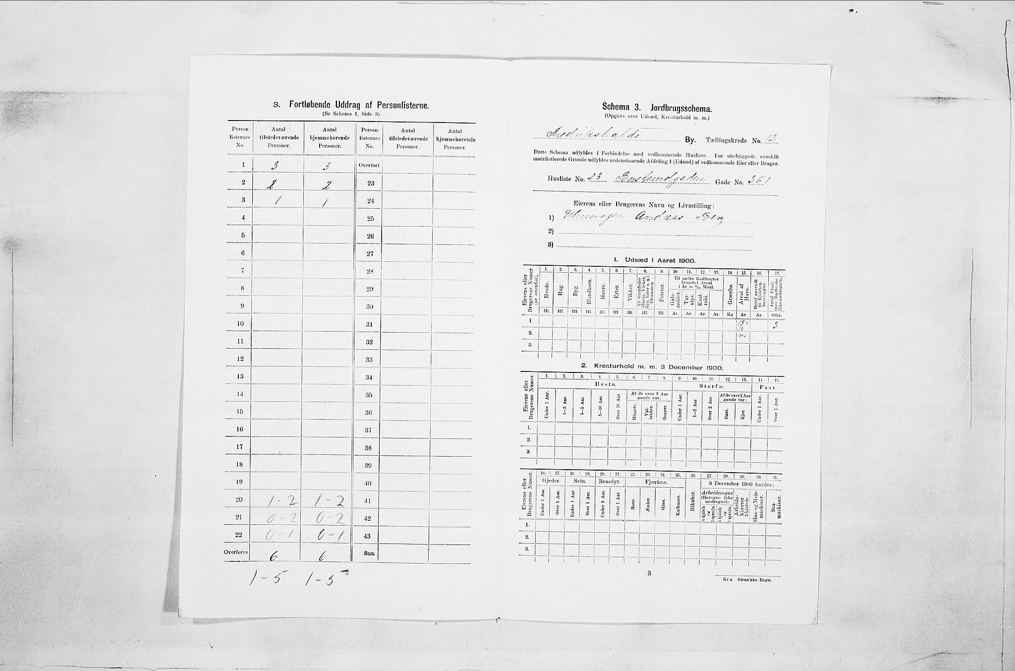 SAO, Folketelling 1900 for 0101 Fredrikshald kjøpstad, 1900