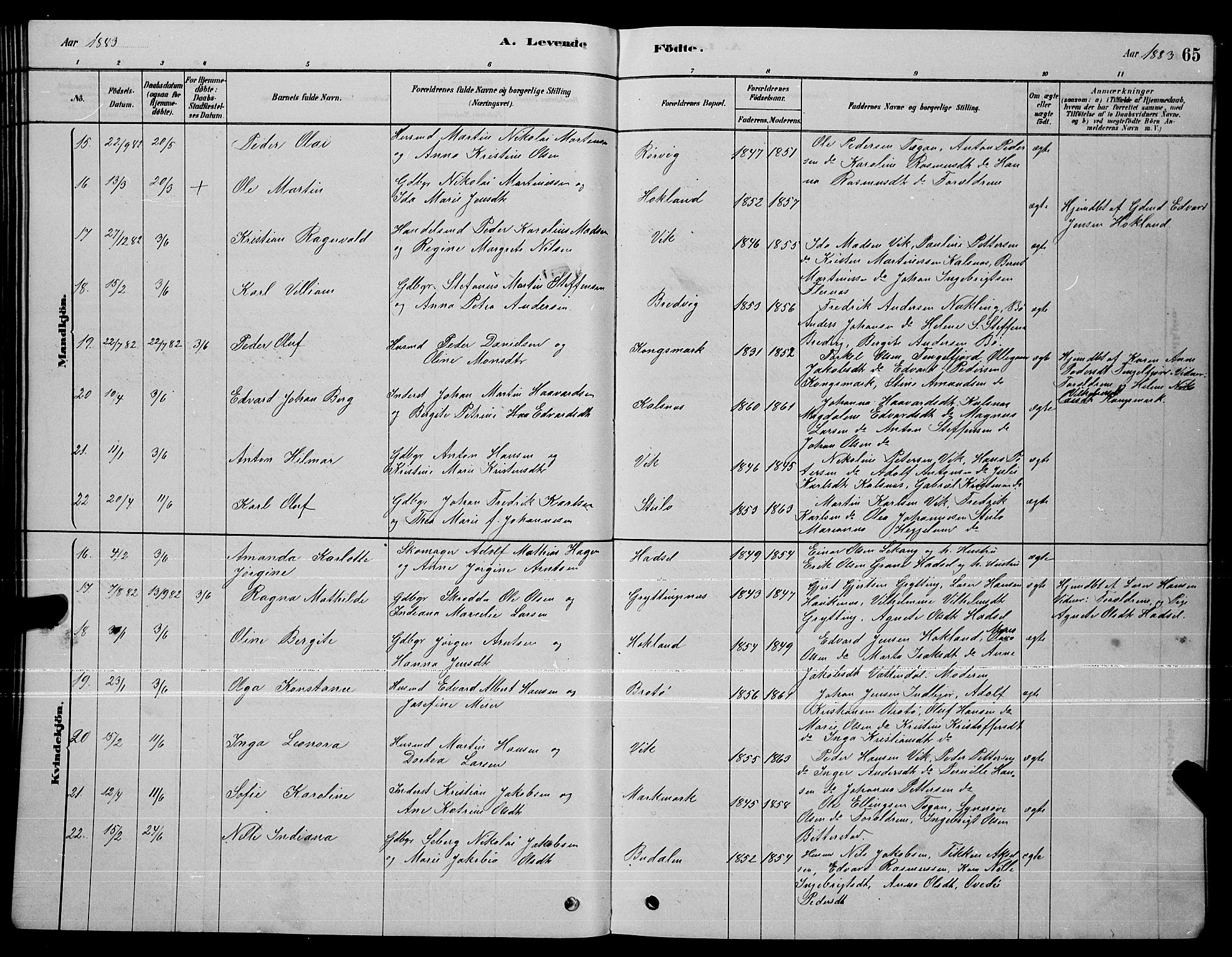 Ministerialprotokoller, klokkerbøker og fødselsregistre - Nordland, AV/SAT-A-1459/888/L1267: Klokkerbok nr. 888C05, 1878-1890, s. 65