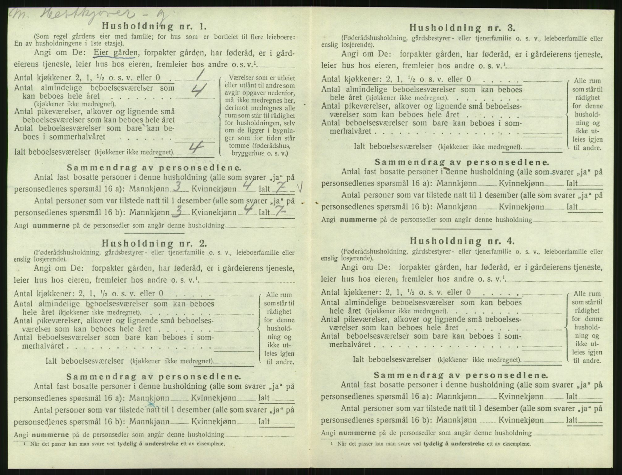 SAT, Folketelling 1920 for 1833 Mo herred, 1920, s. 1313