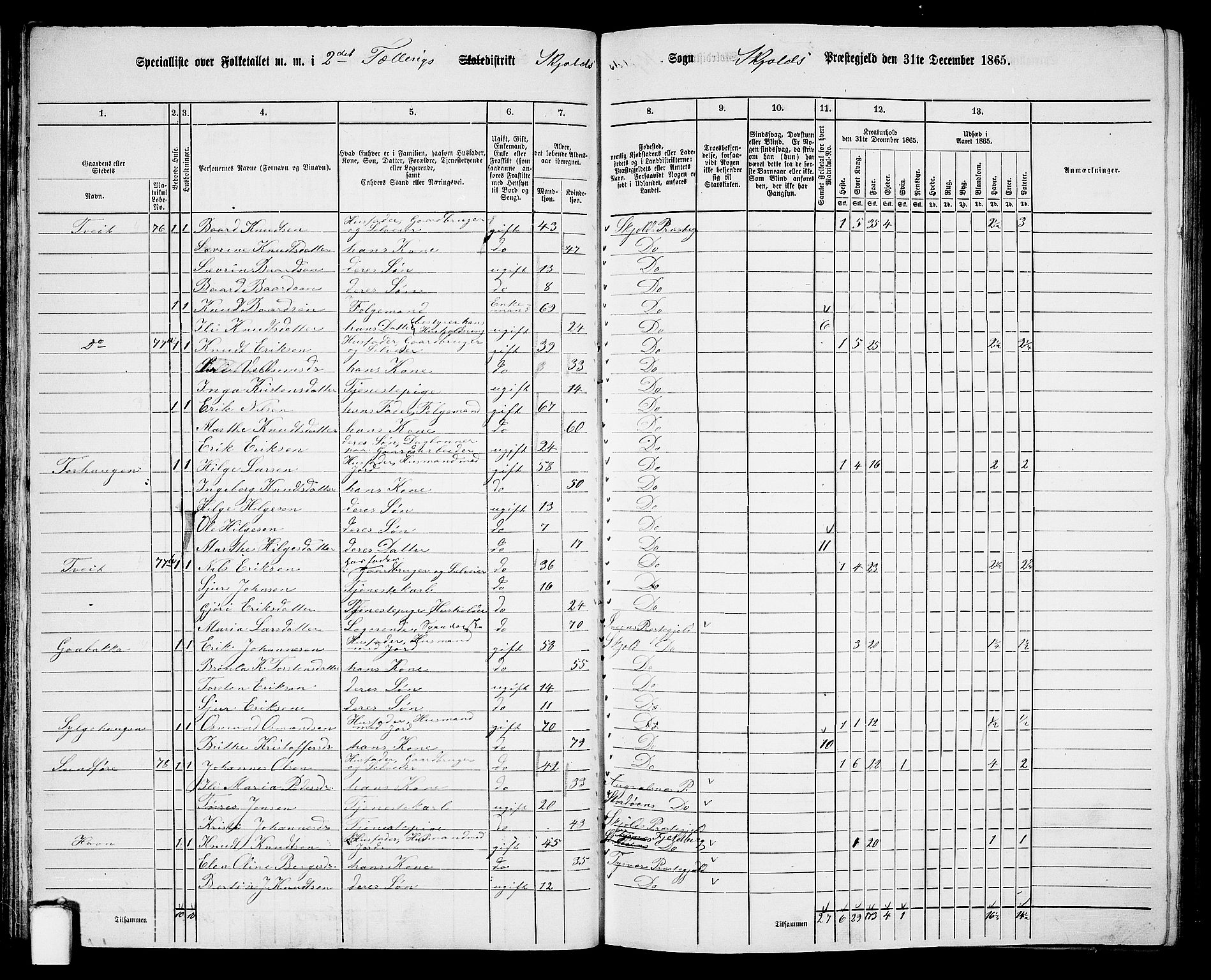 RA, Folketelling 1865 for 1154P Skjold prestegjeld, 1865, s. 37