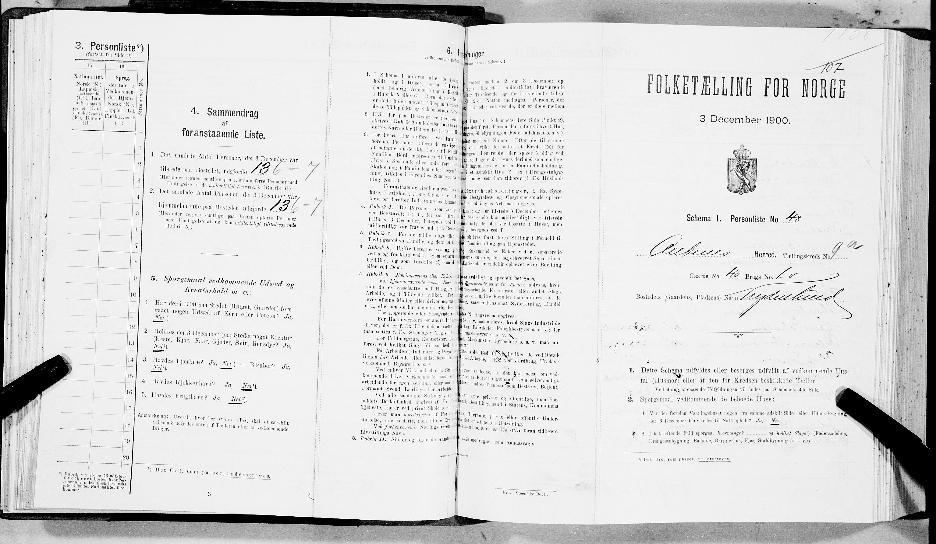 SAT, Folketelling 1900 for 1855 Ankenes herred, 1900, s. 755