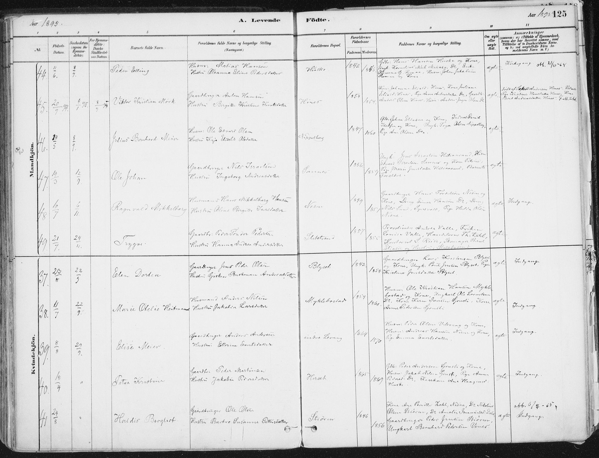Ministerialprotokoller, klokkerbøker og fødselsregistre - Nordland, AV/SAT-A-1459/838/L0552: Ministerialbok nr. 838A10, 1880-1910, s. 125
